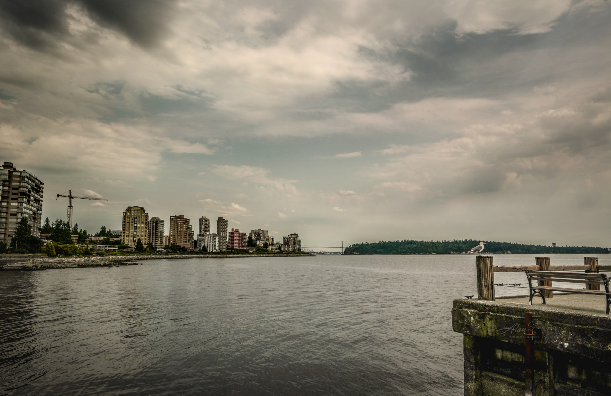 Leica SL (Typ 601) sample photo. West vancouver photography