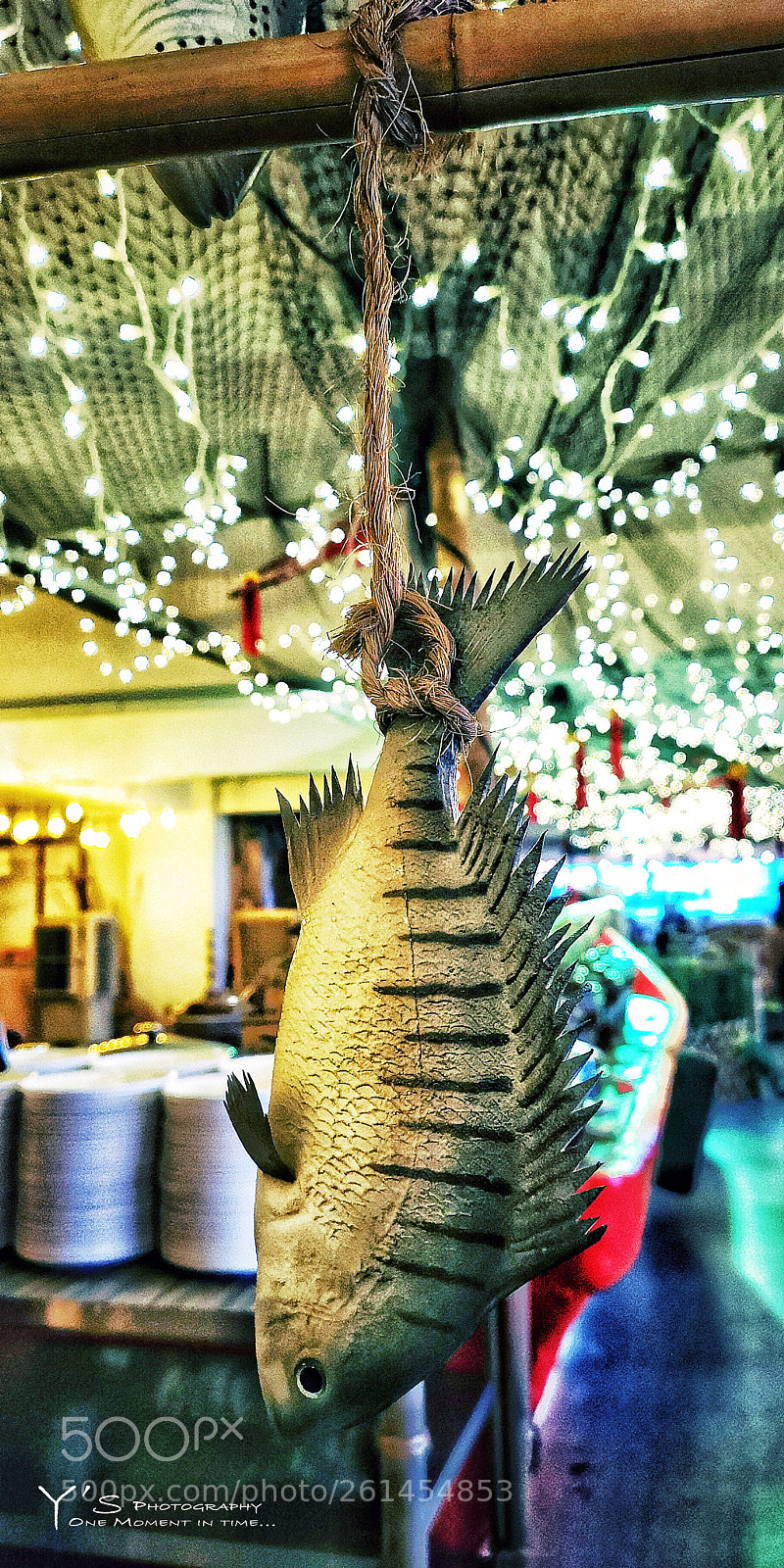 HUAWEI CLT-L29 sample photo. ＂fishing＂. ＂吊＂鱼。 photography