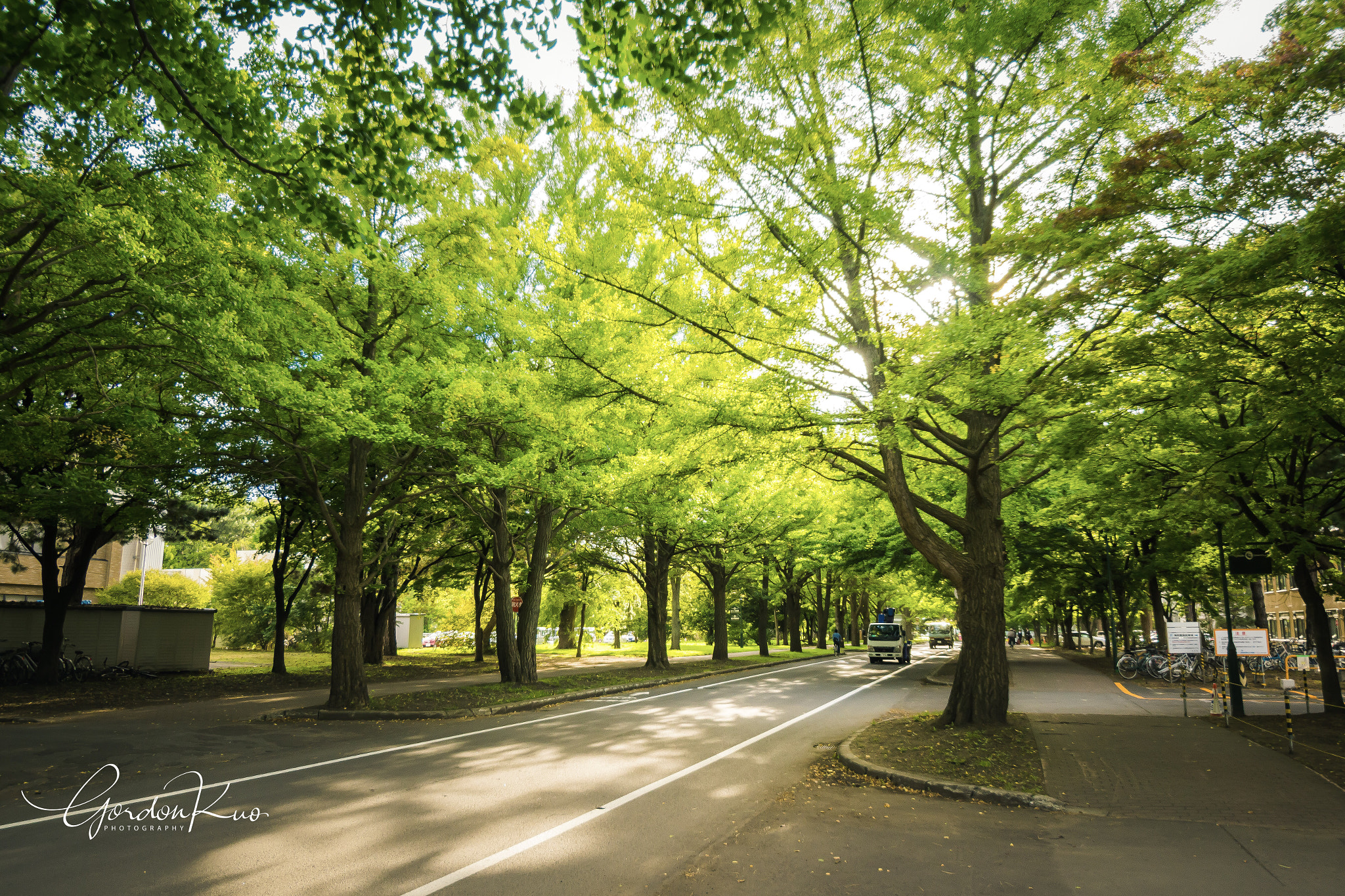Sony SLT-A65 (SLT-A65V) sample photo. Green light photography