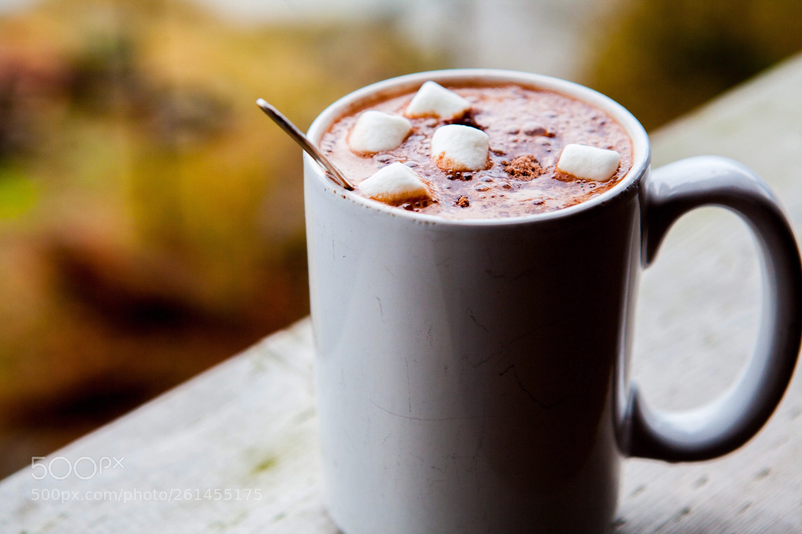 Canon EOS 5D Mark II sample photo. Hot cocoa photography