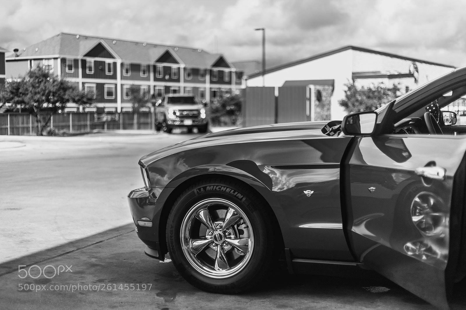 Canon EOS 5D sample photo. Mustang photography