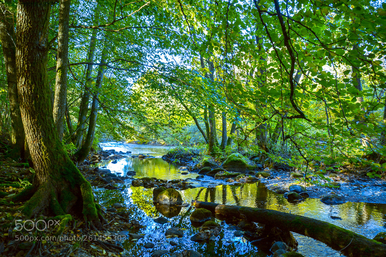 Nikon D7100 sample photo. Swedish summer landscape! photography