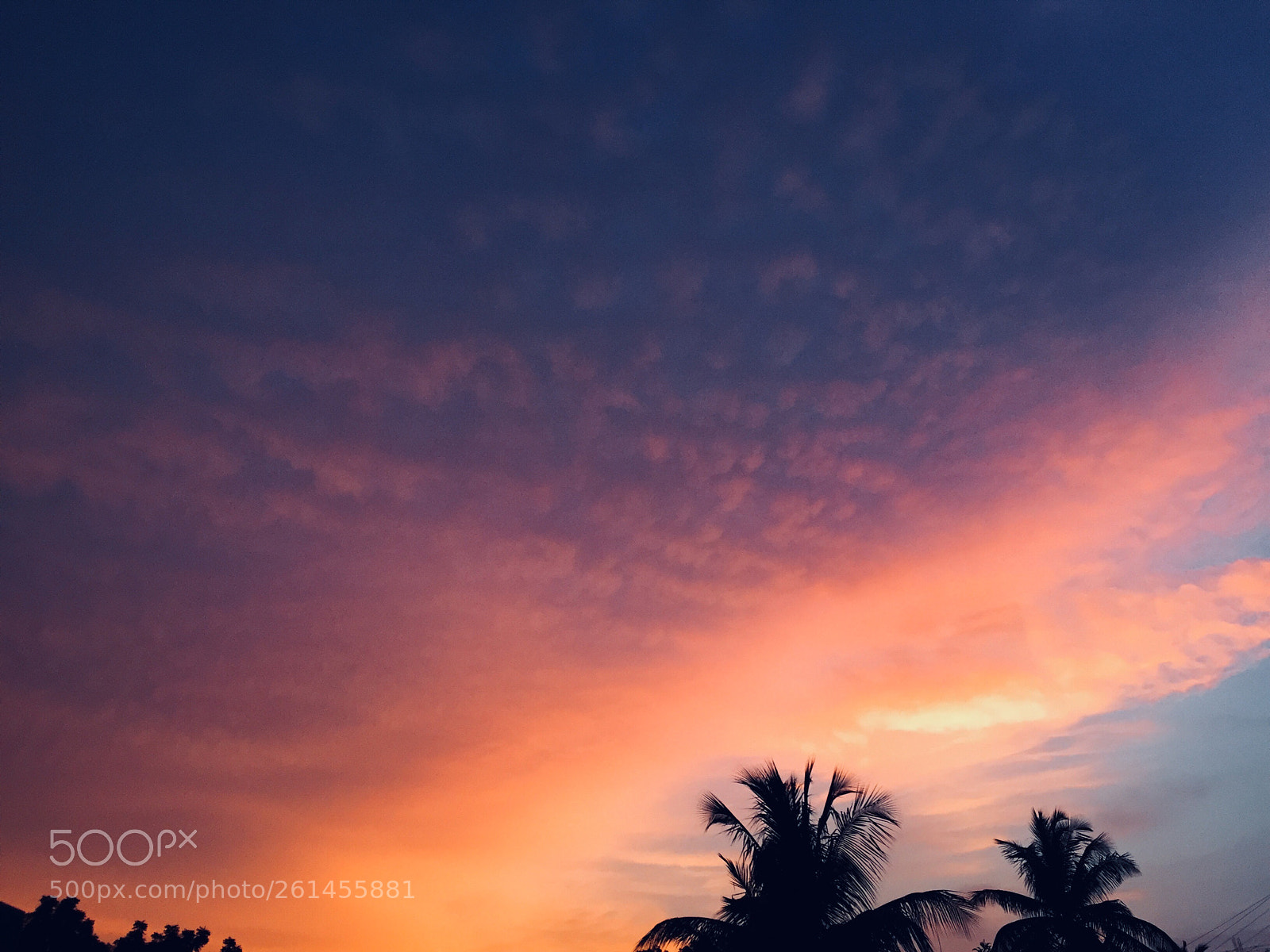 Apple iPhone 6 sample photo. Dusk! photography