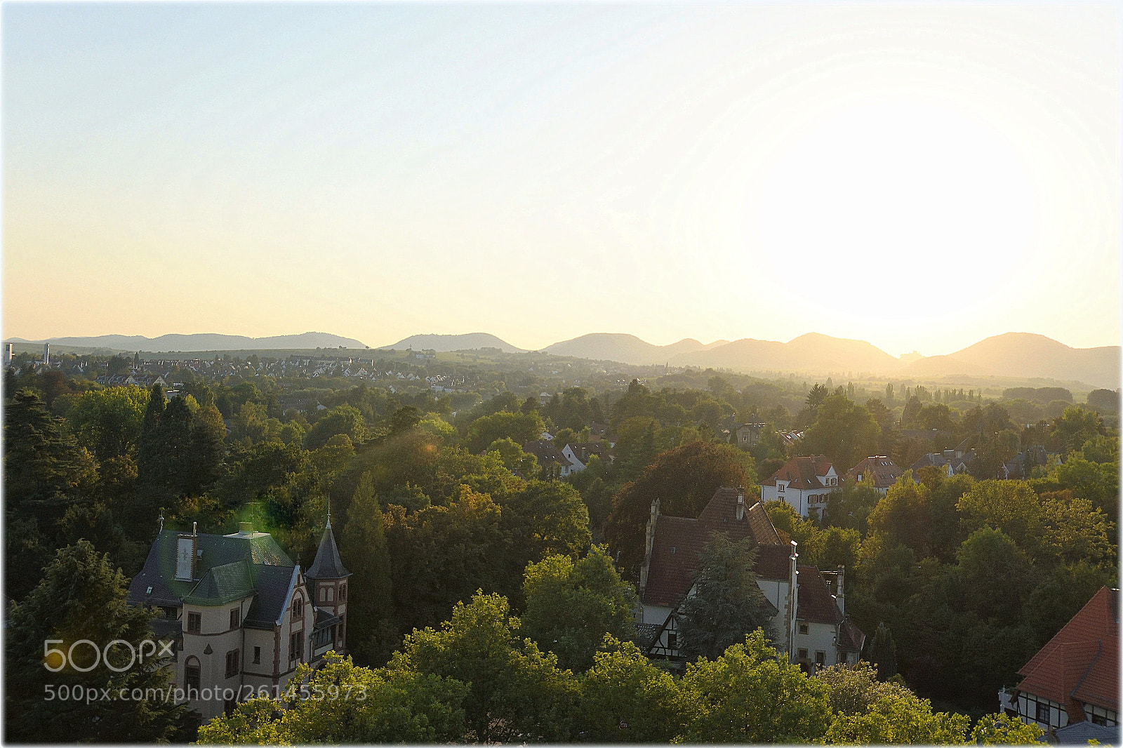 Nikon D810 sample photo. "landau;rhein-l-pfalz" photography