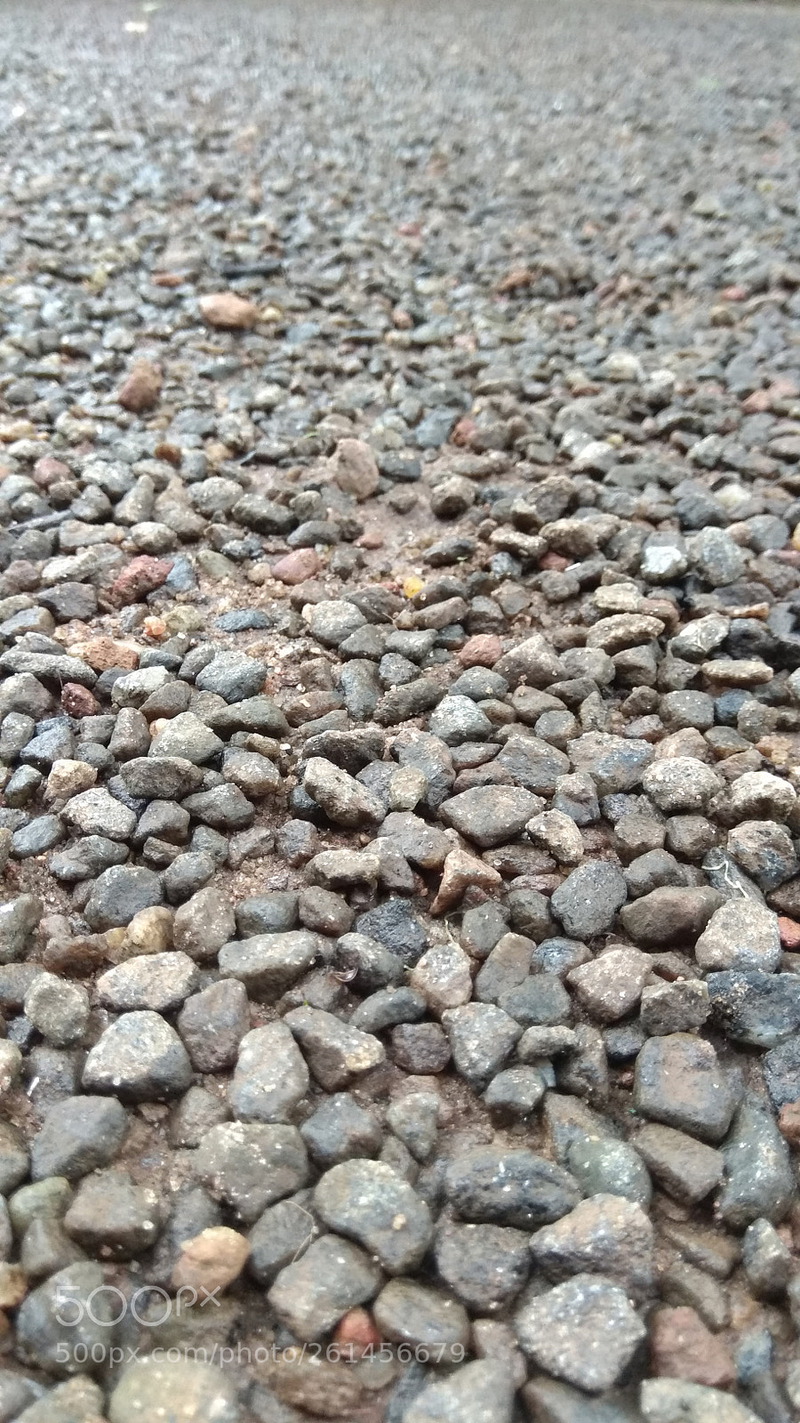 Xiaomi Redmi Note 4 sample photo. Untitled photography