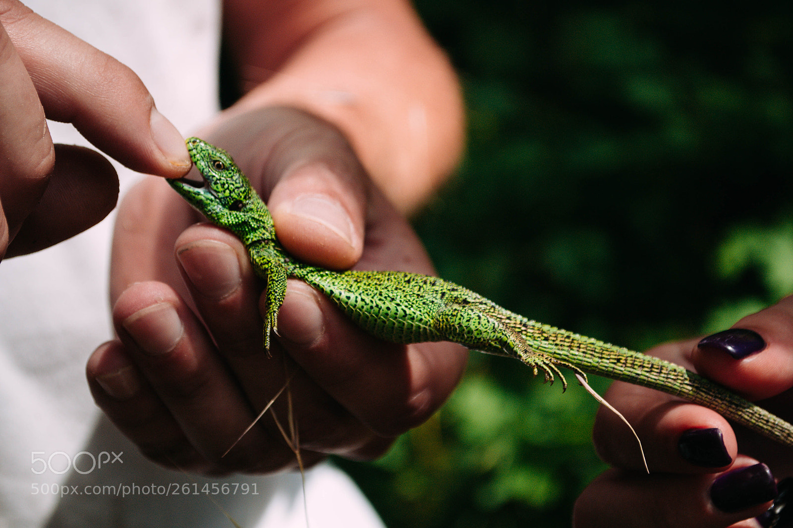 Nikon D3100 sample photo. Untitled photography