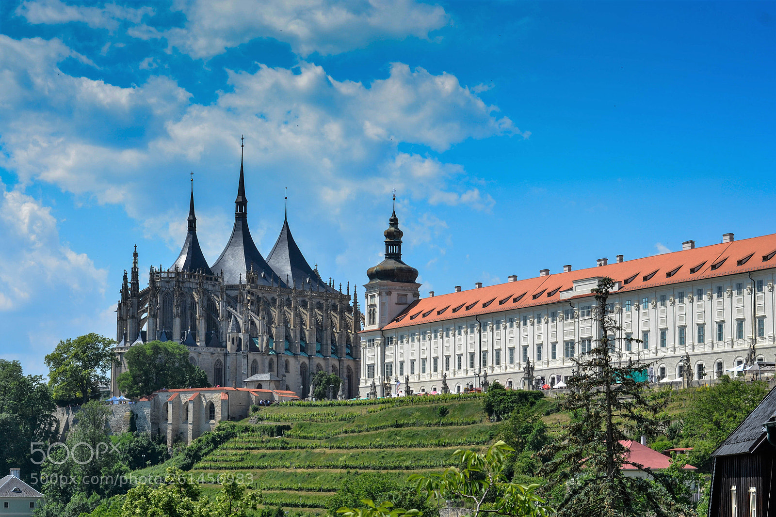 Nikon D3100 sample photo. Kutná hora cathedral photography