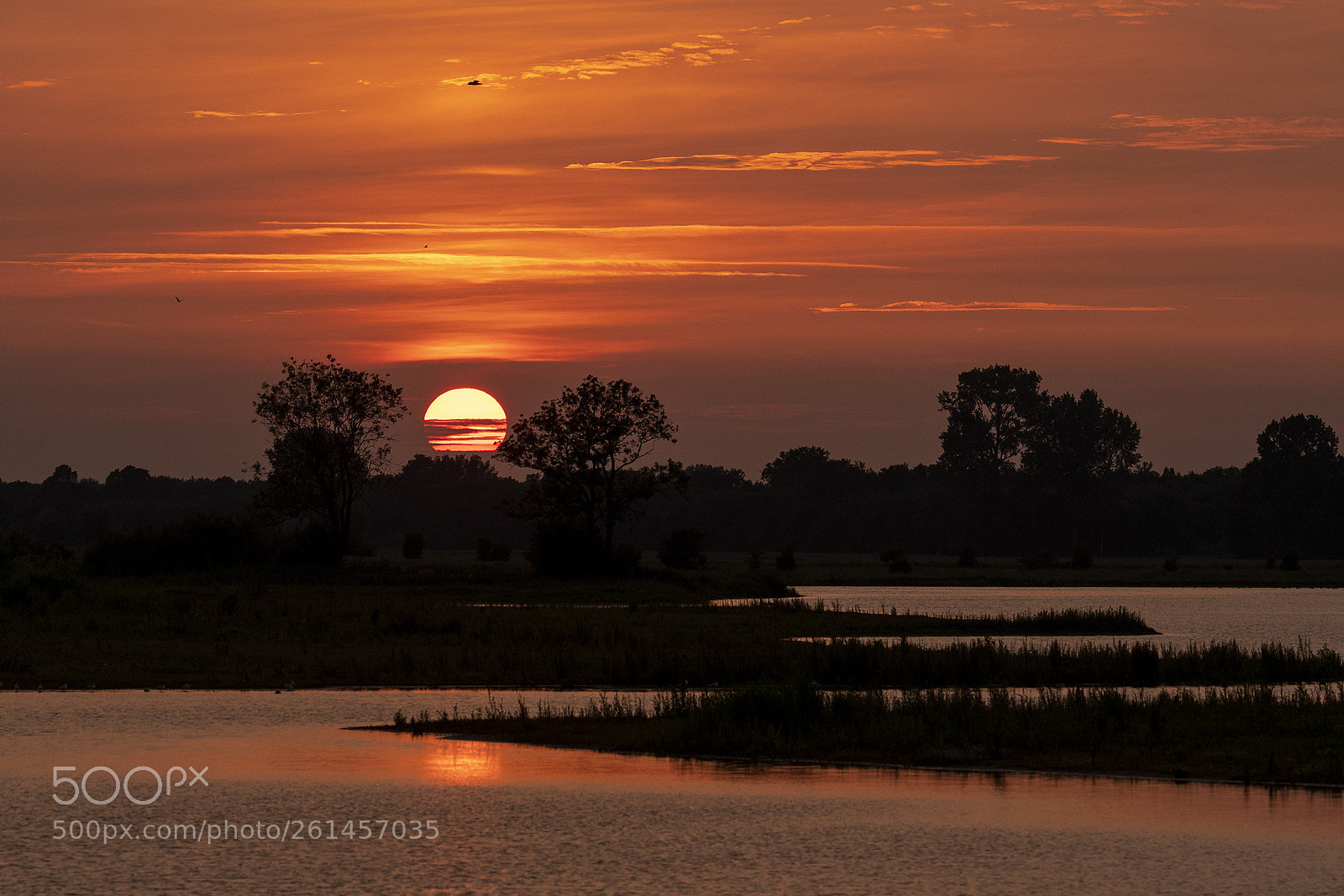 Nikon D500 sample photo. Sunset in the vreugderijkerwaard photography
