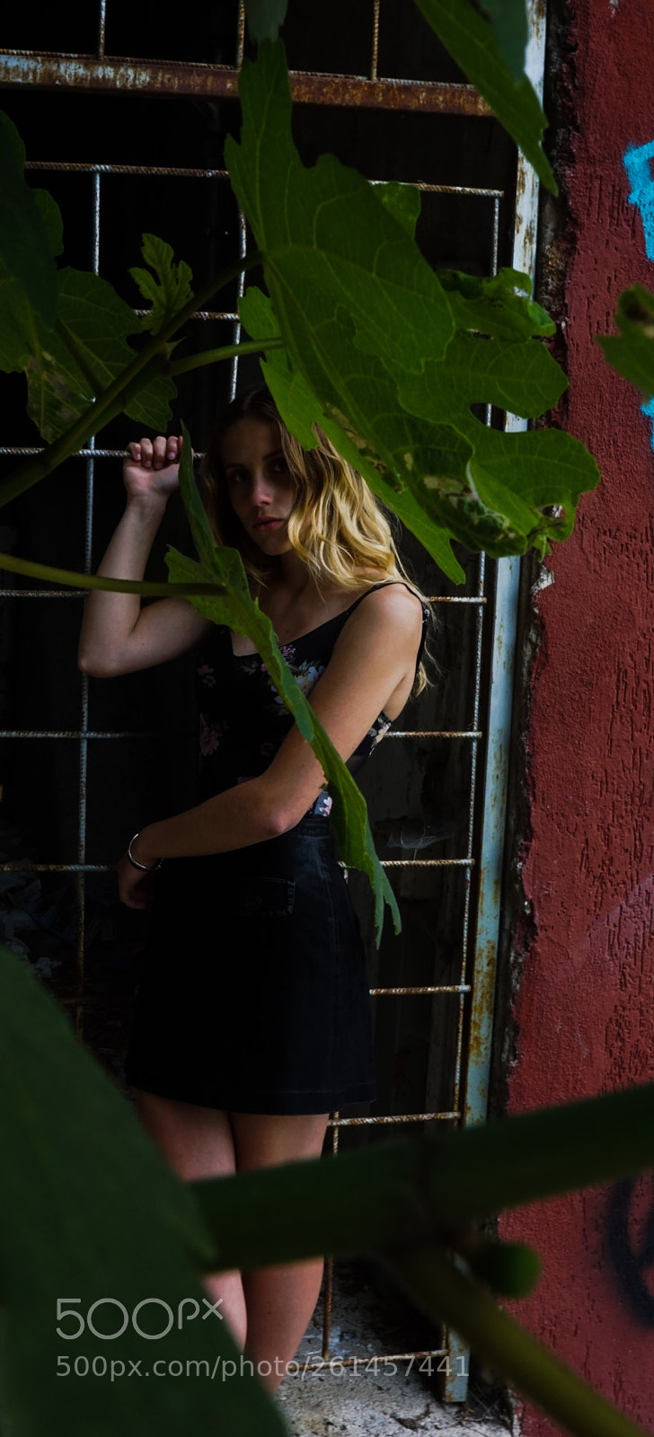 Sony a6000 sample photo. Untitled photography
