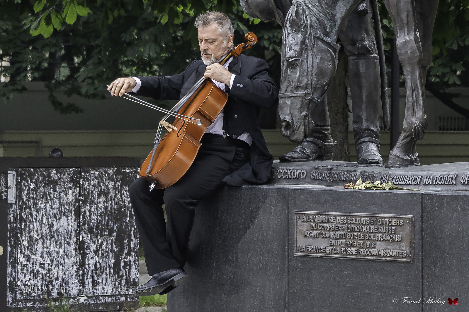 Nikon D850 sample photo. Le violoncelliste. photography