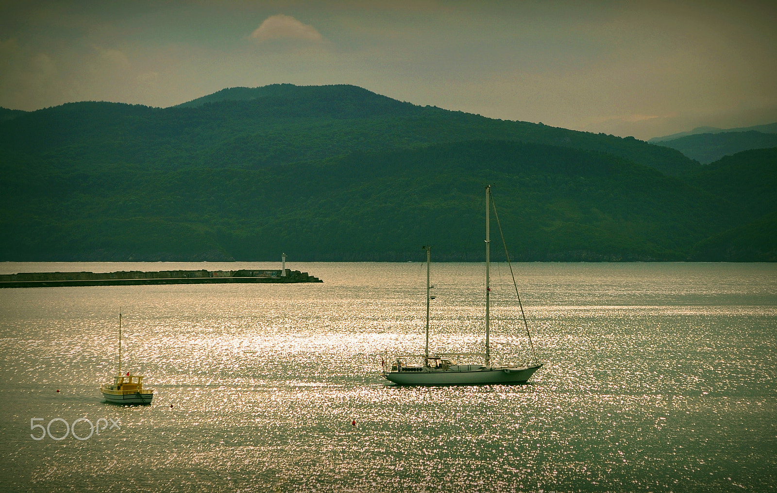 Nikon D5000 sample photo. ** photography