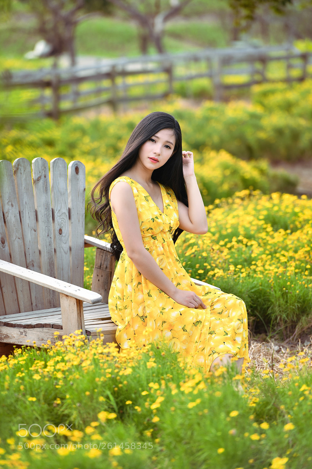Nikon D850 sample photo. Yellow flower photography