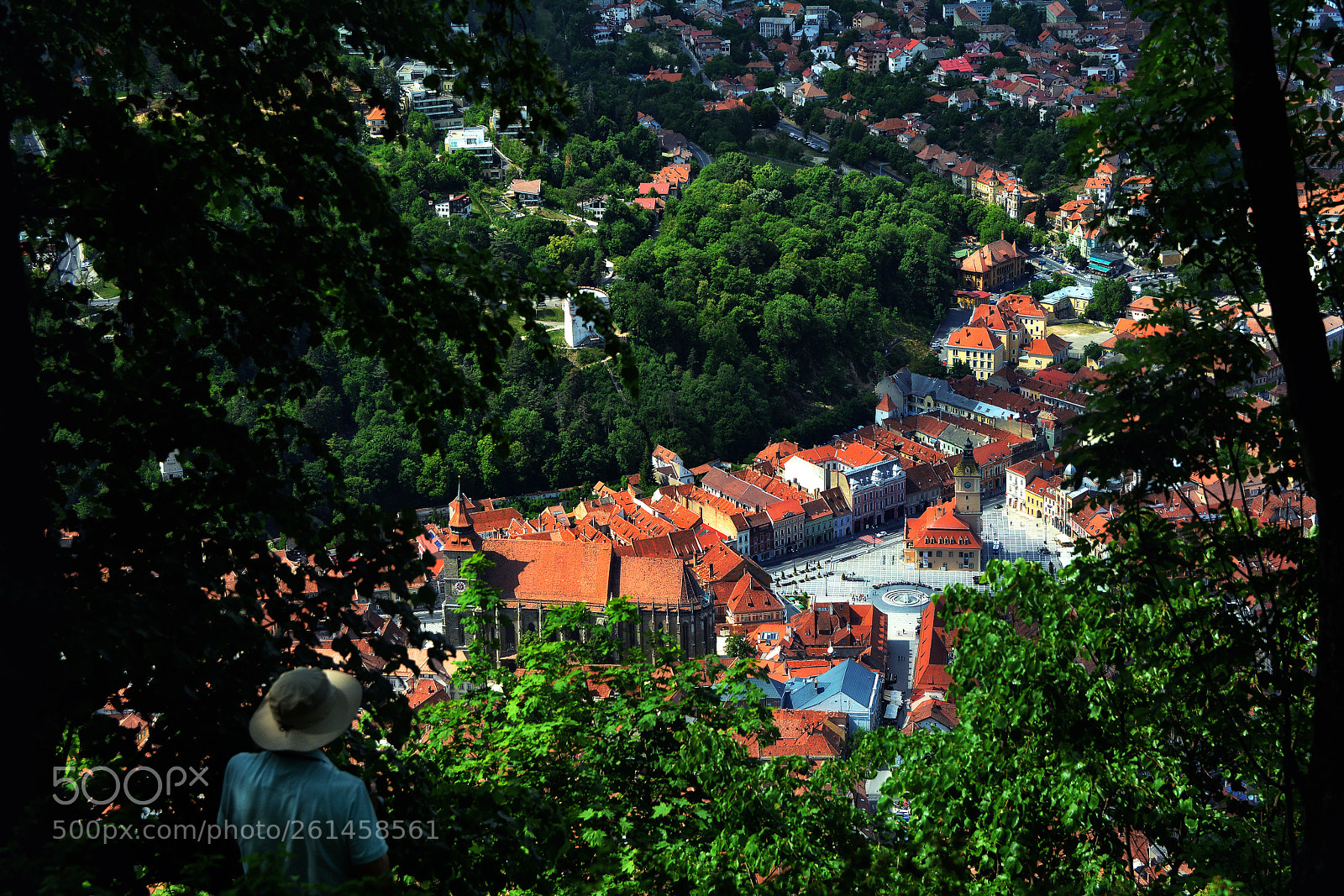 Nikon D7100 sample photo. Looking the view photography