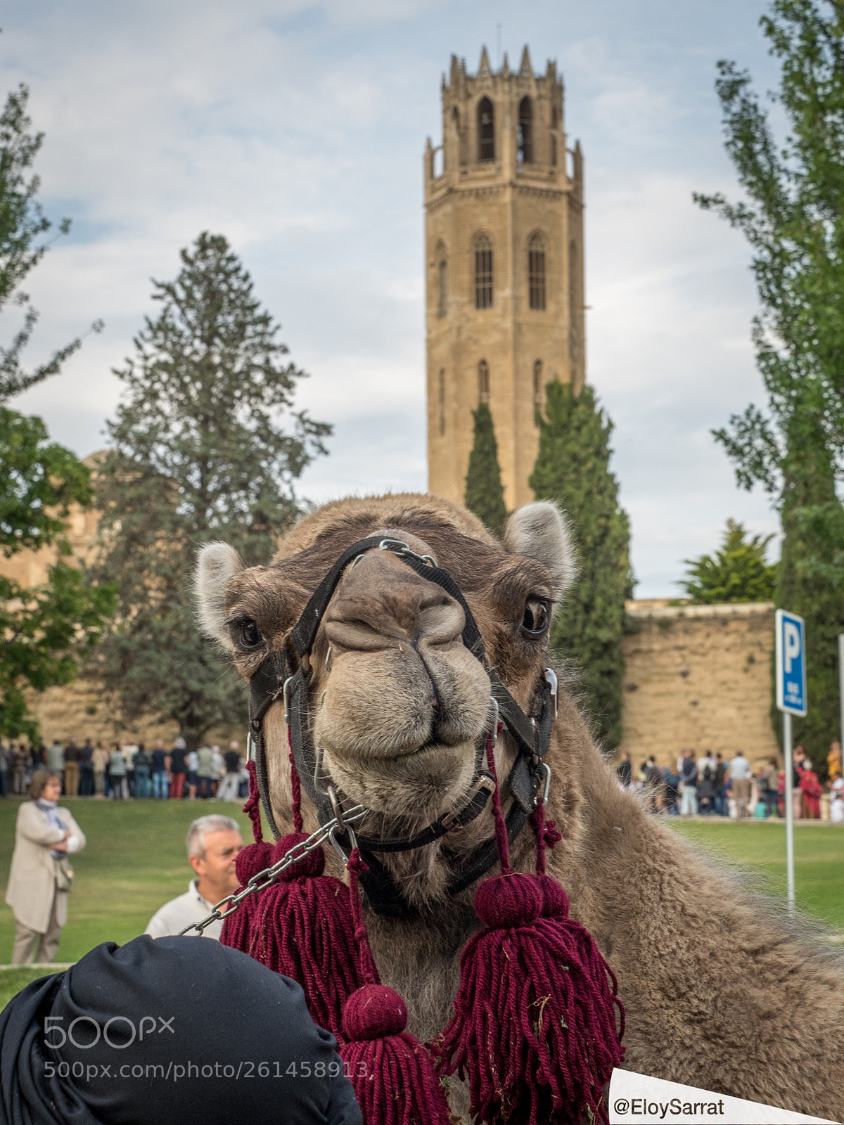 Olympus OM-D E-M5 II sample photo. Festa major de lleida photography