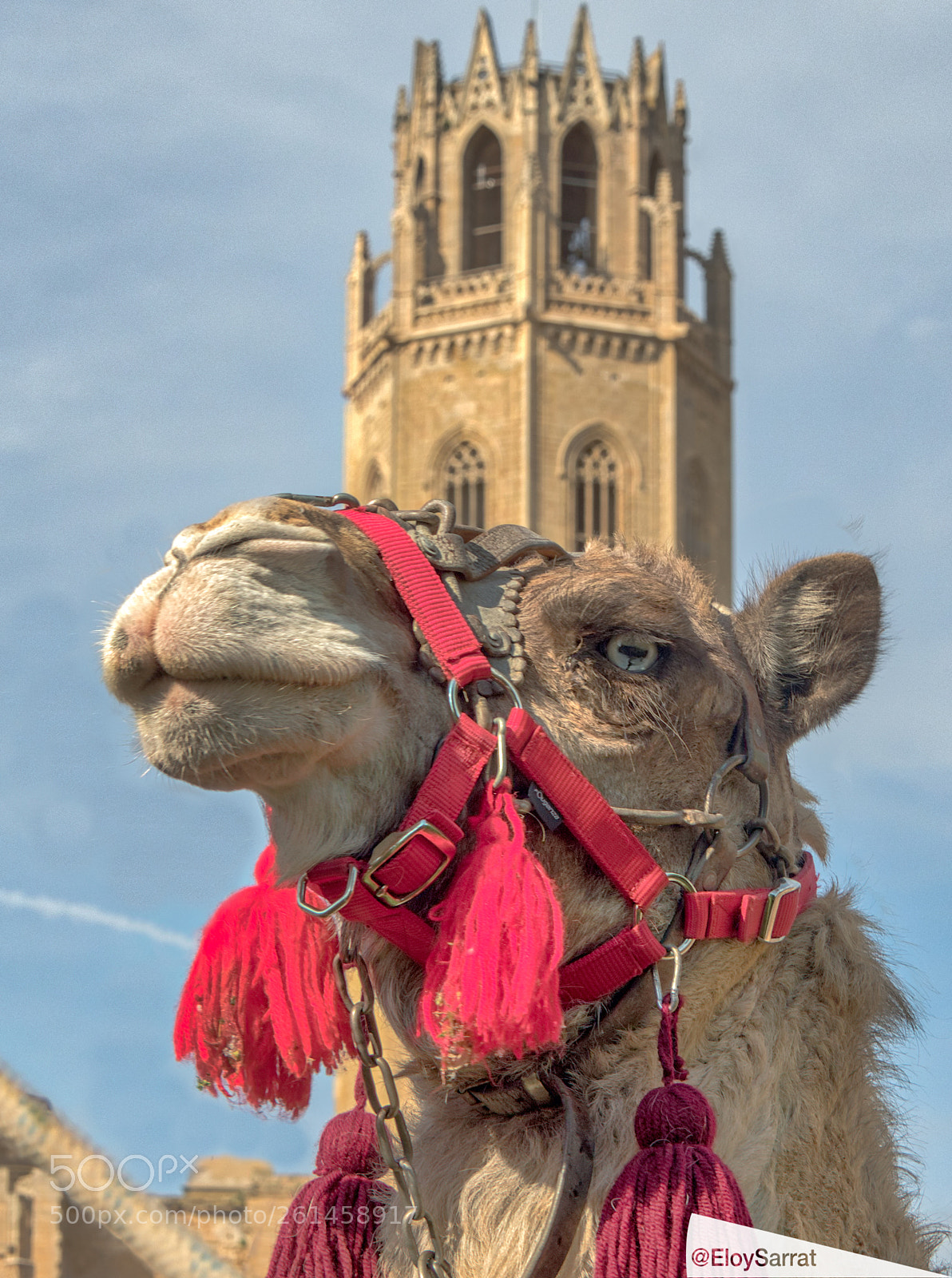 Olympus OM-D E-M5 II sample photo. Festa major de lleida photography