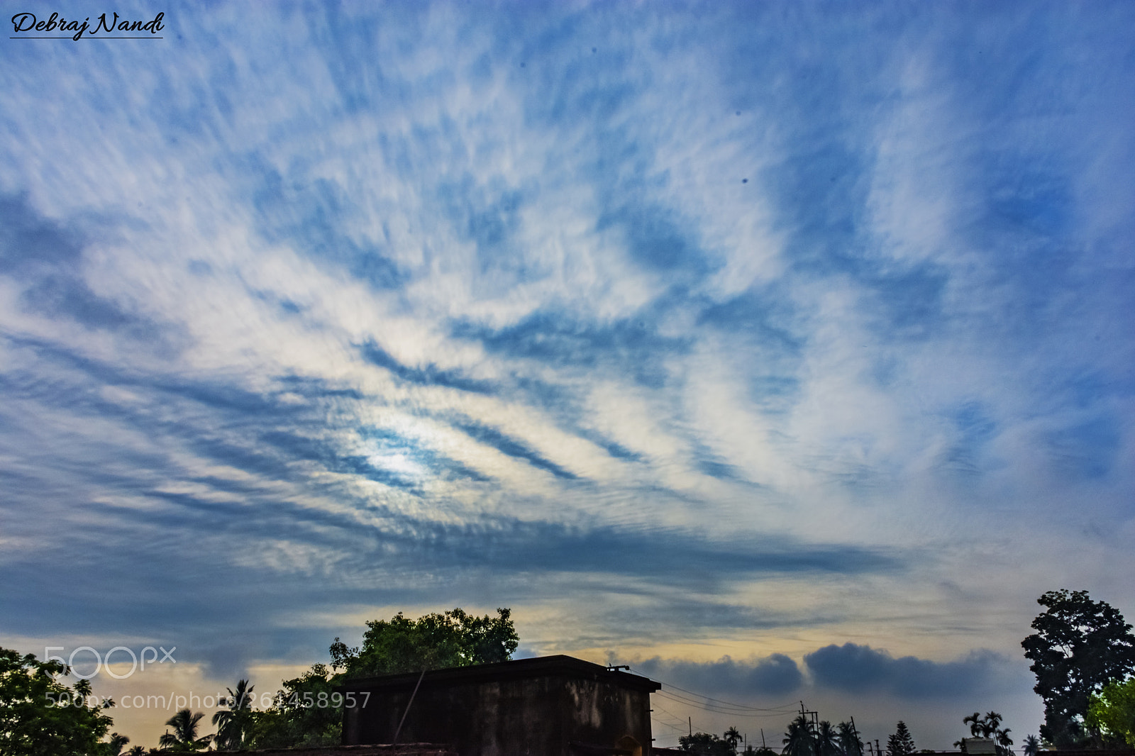 Nikon D7200 sample photo. The great blue photography