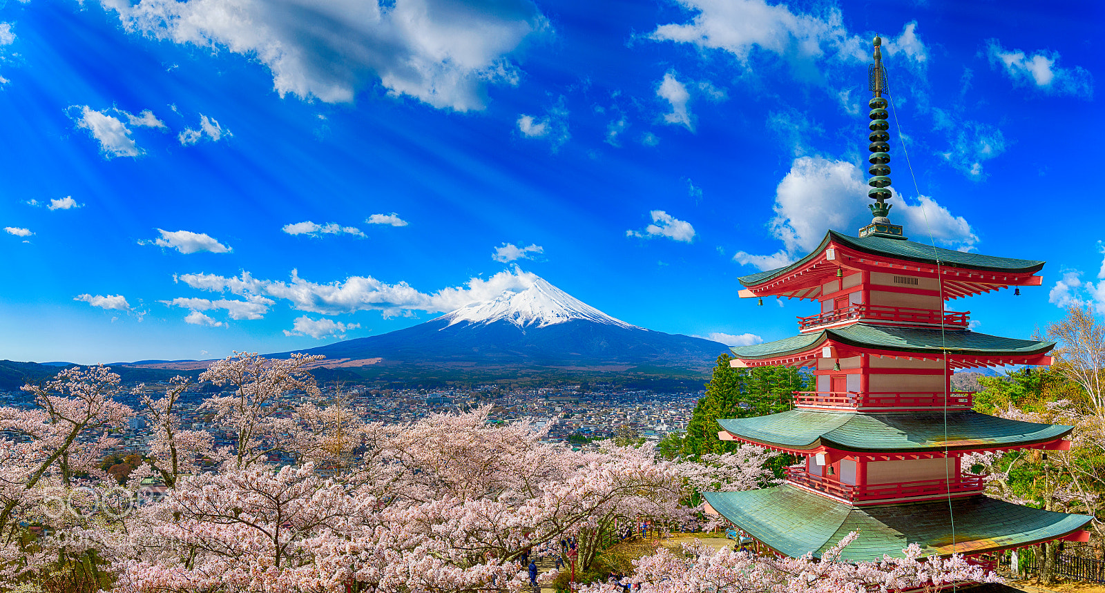 Nikon D850 sample photo. Arakura-fuji sengen shrine photography