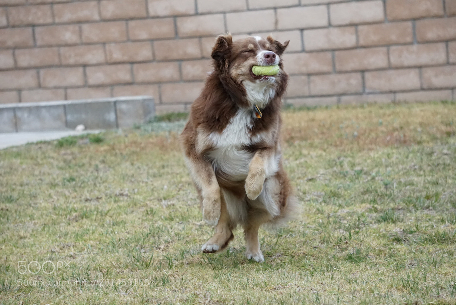 Sony a6000 sample photo. Catch! photography