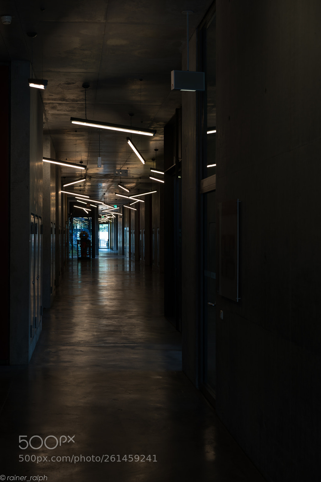 Sony a7R III sample photo. The golden shimmering corridor photography