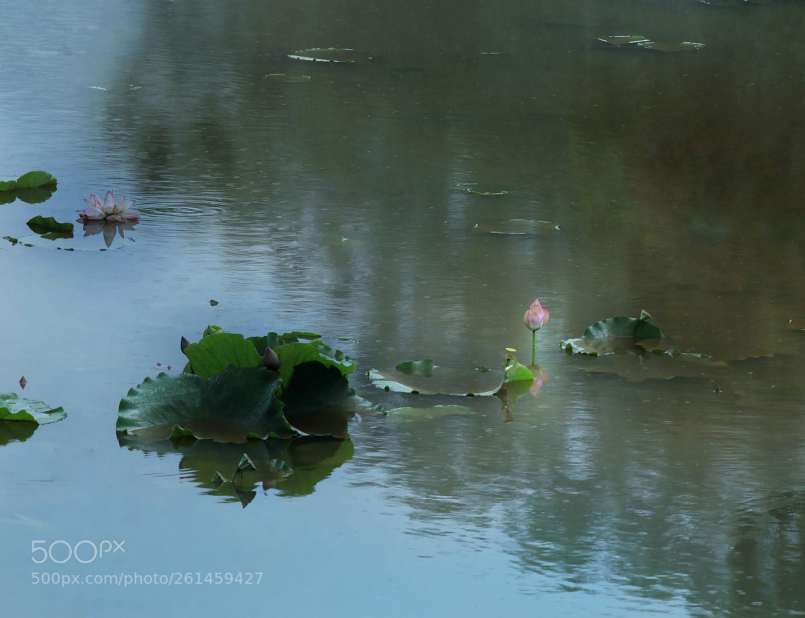 Canon EOS 5DS R sample photo. After rainstorm photography