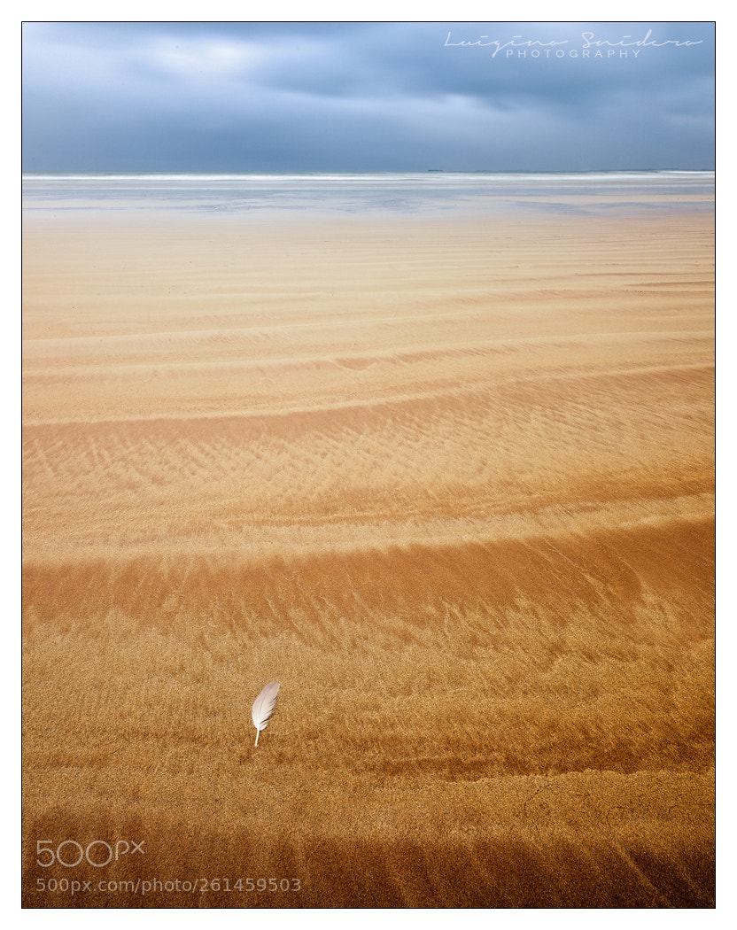 Canon EOS 5D Mark II sample photo. Ireland beach (minimal) photography