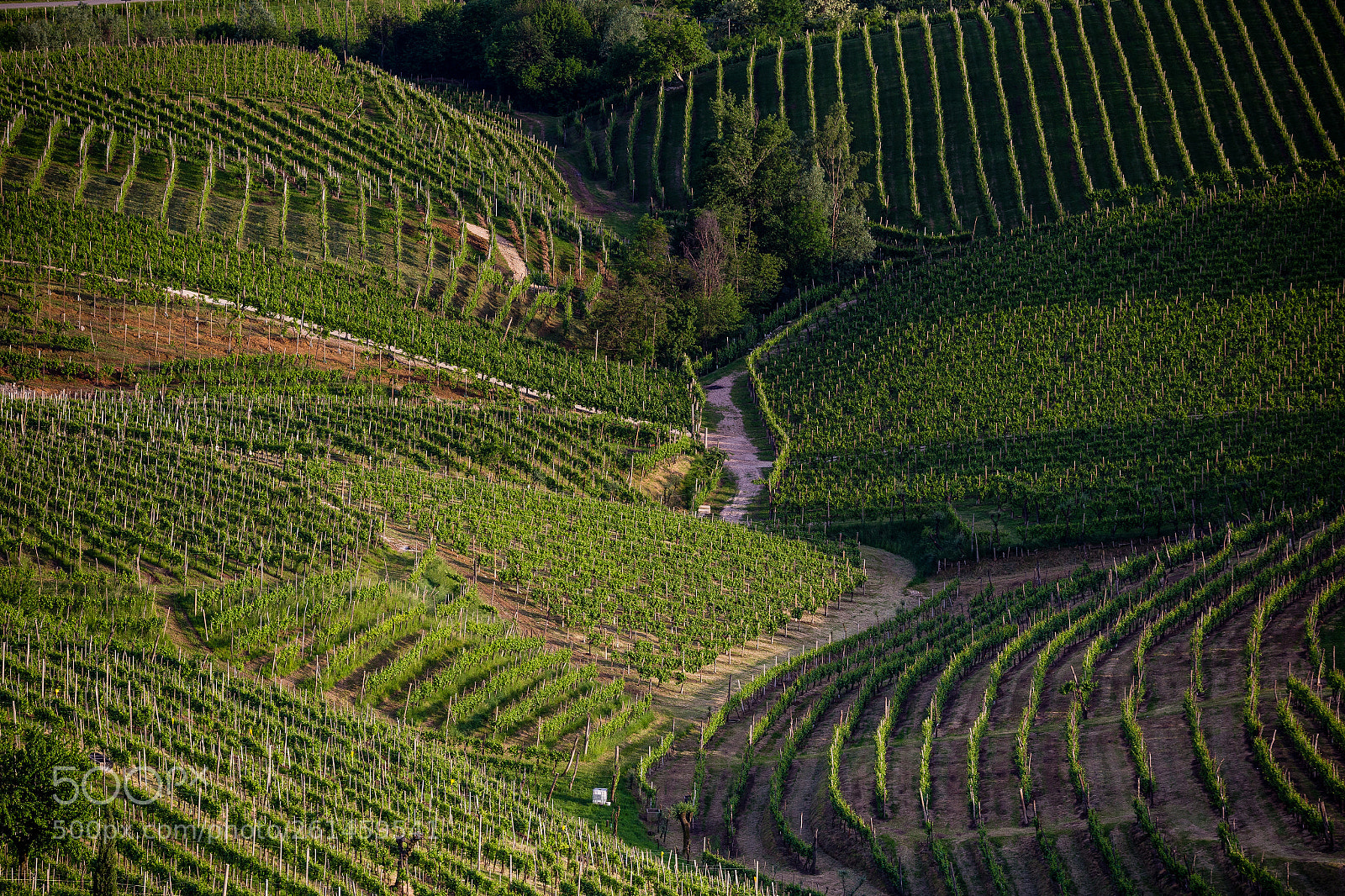 Canon EOS 6D sample photo. The valley between the photography