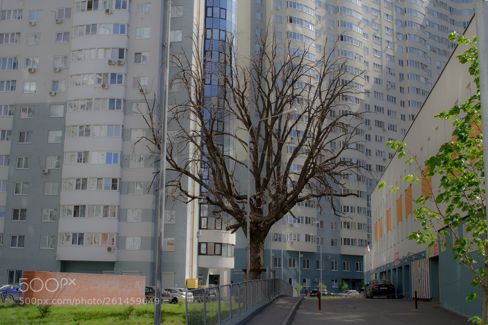 Nikon D3100 sample photo. Vanishing reality photography
