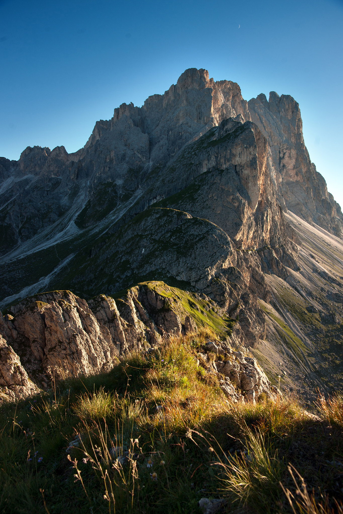 Sony Alpha DSLR-A900 sample photo. Le odle photography