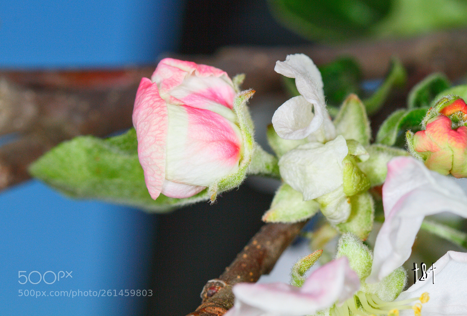 Canon EOS 7D sample photo. Untitled photography