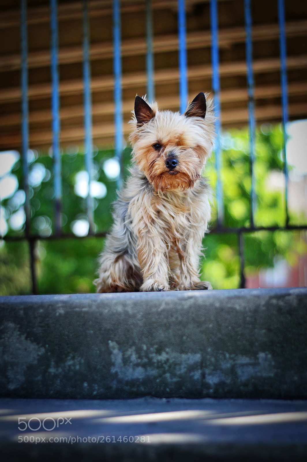 Nikon D3200 sample photo. Photo photography