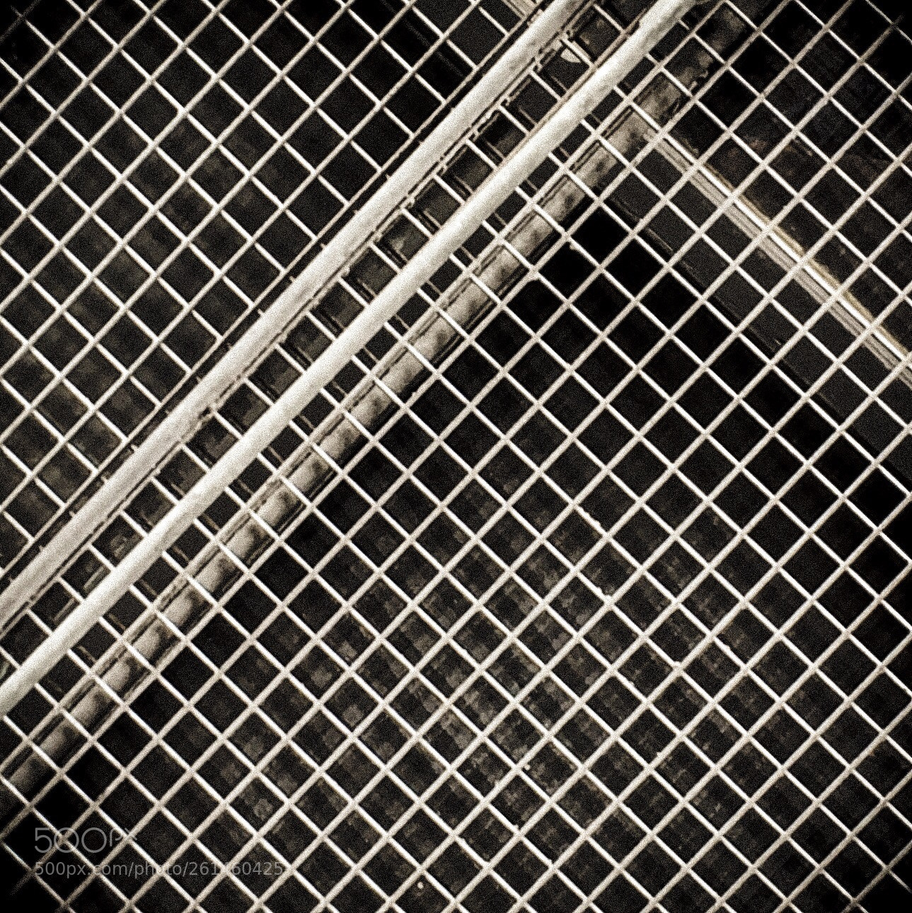 Apple iPhone 6 sample photo. Untitled photography