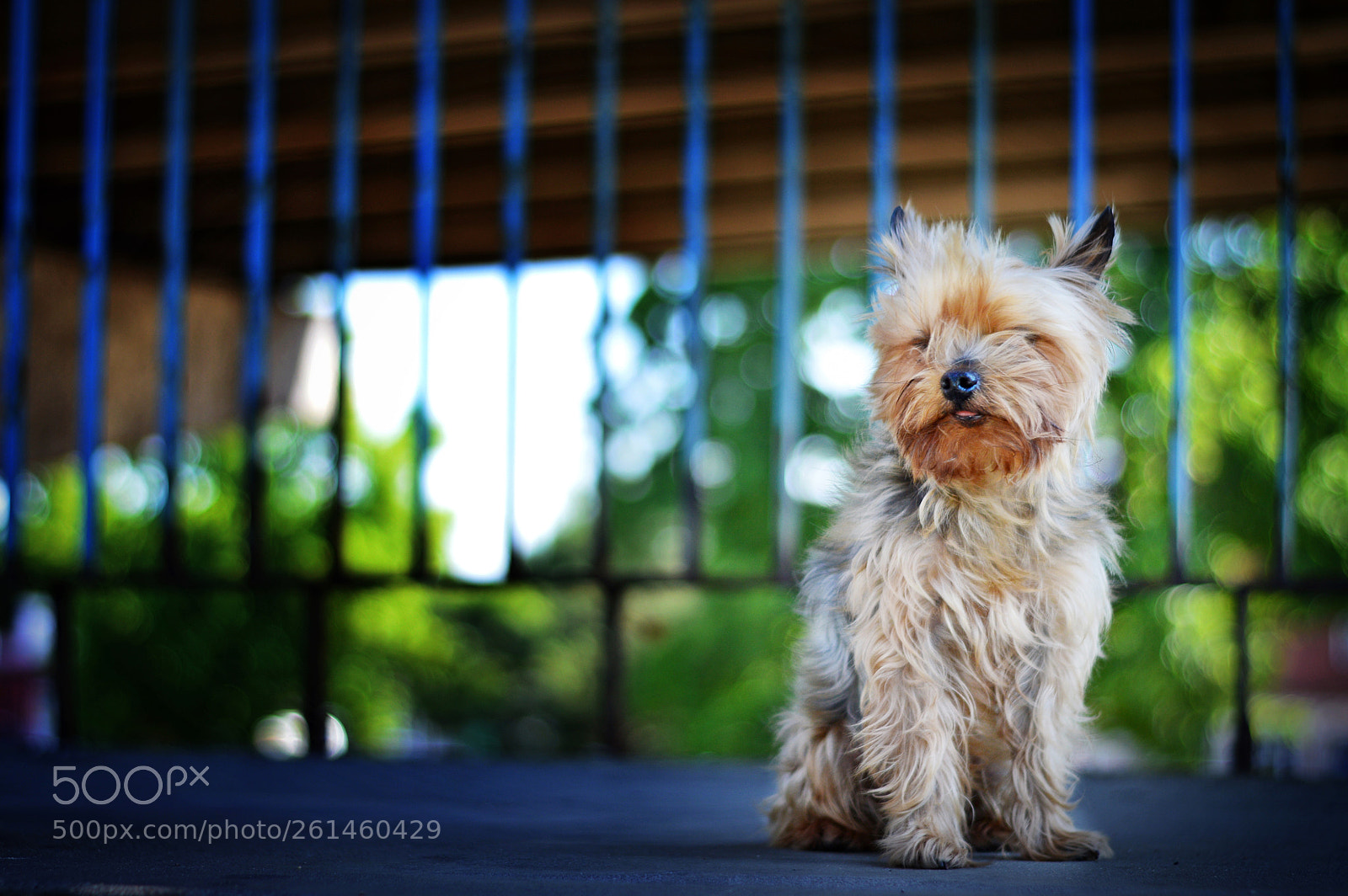 Nikon D3200 sample photo. Photo photography
