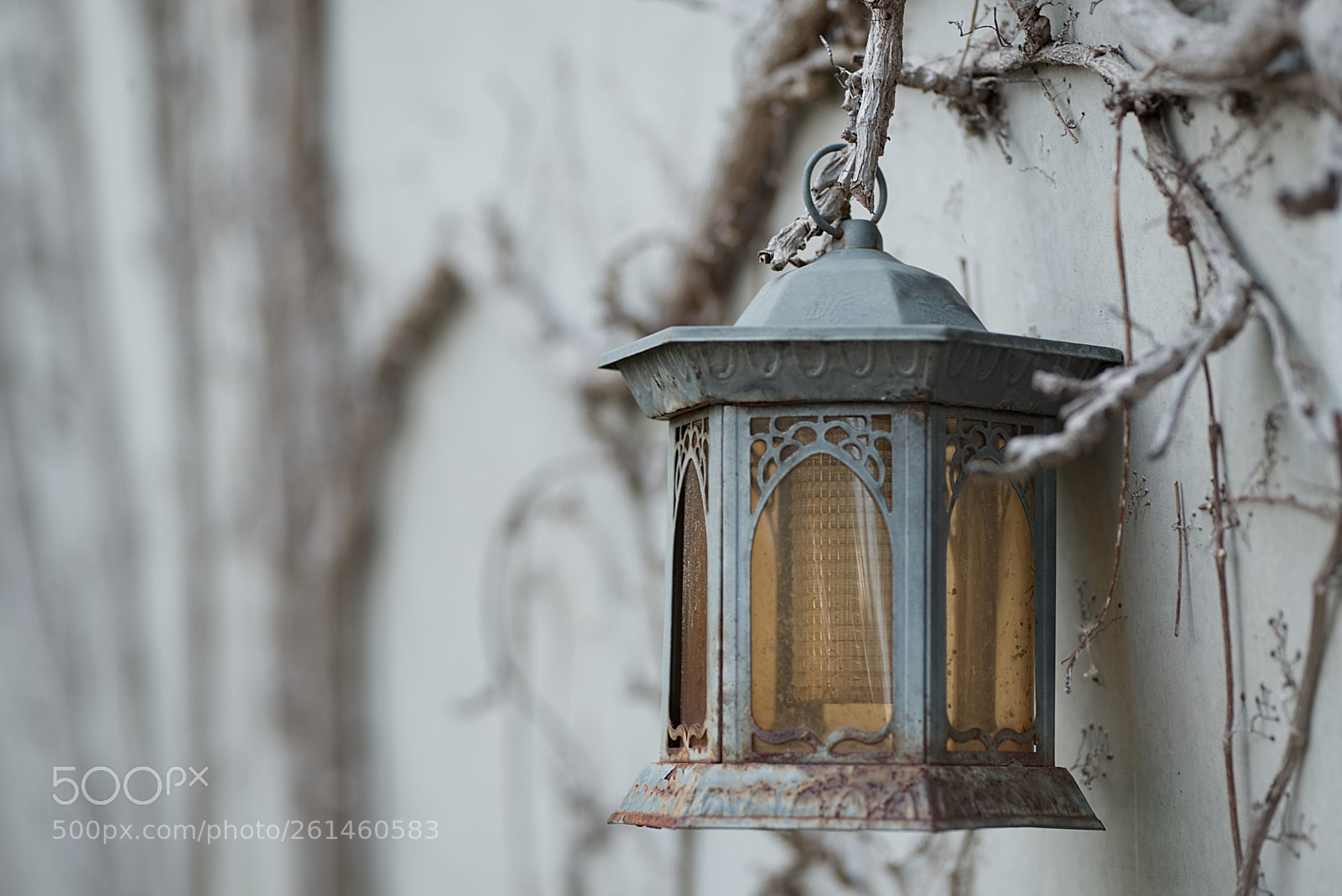 Nikon D610 sample photo. Dust and rust photography