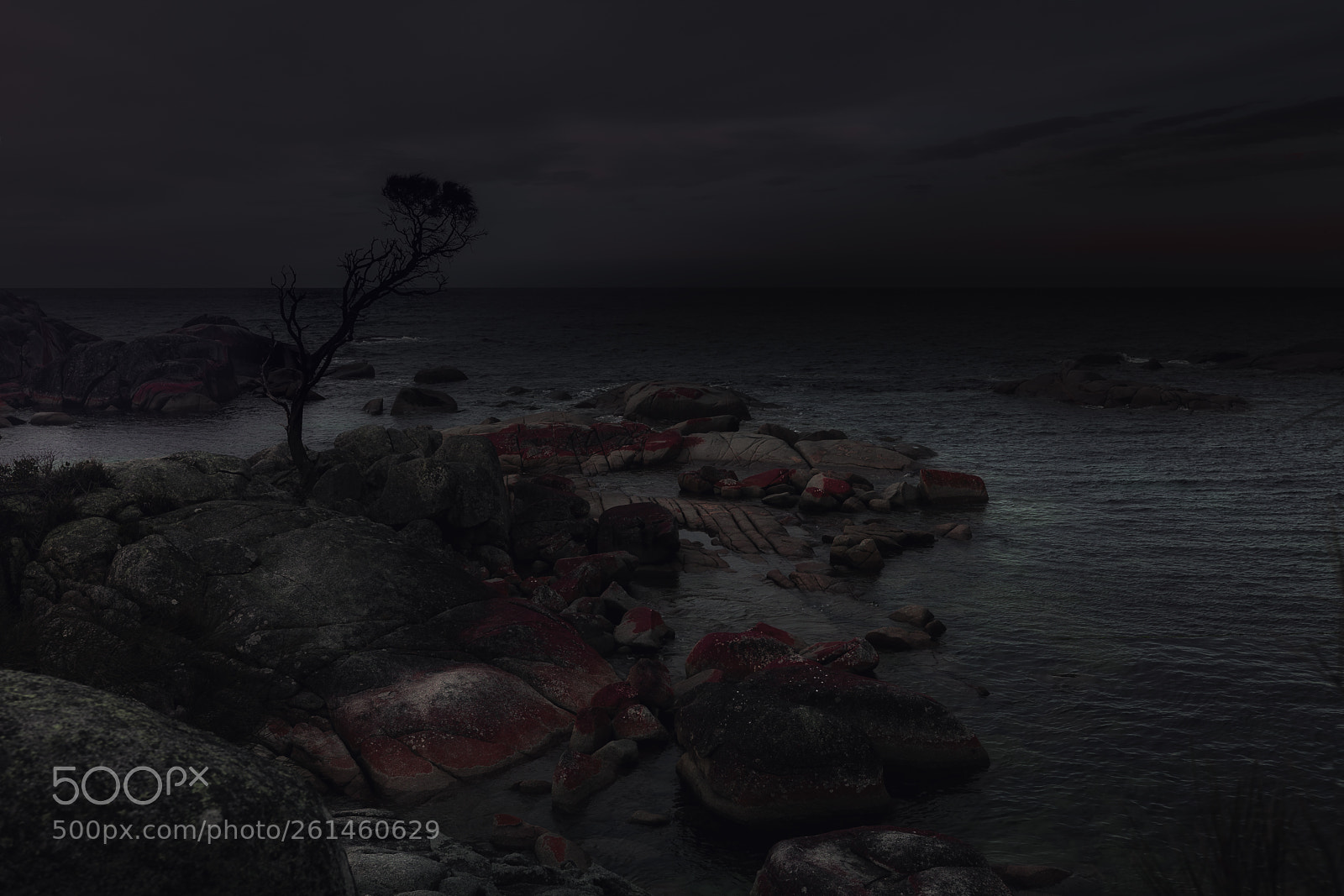 Canon EOS 5D Mark II sample photo. Dusty pink photography
