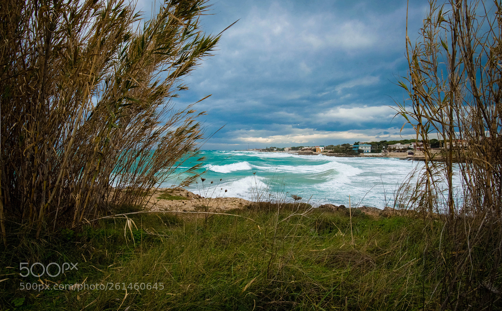 Nikon D800E sample photo. Sea storm photography