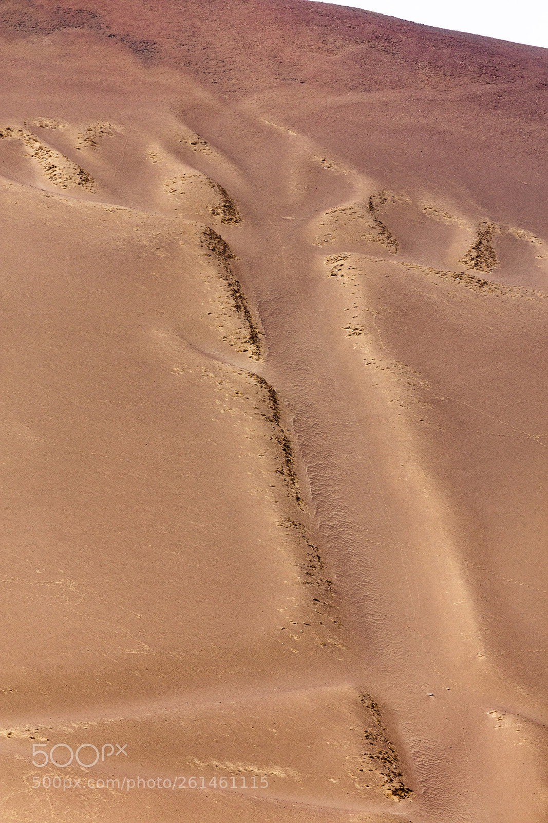 Canon EOS 5DS R sample photo. Ballestas candelabrum mark photography