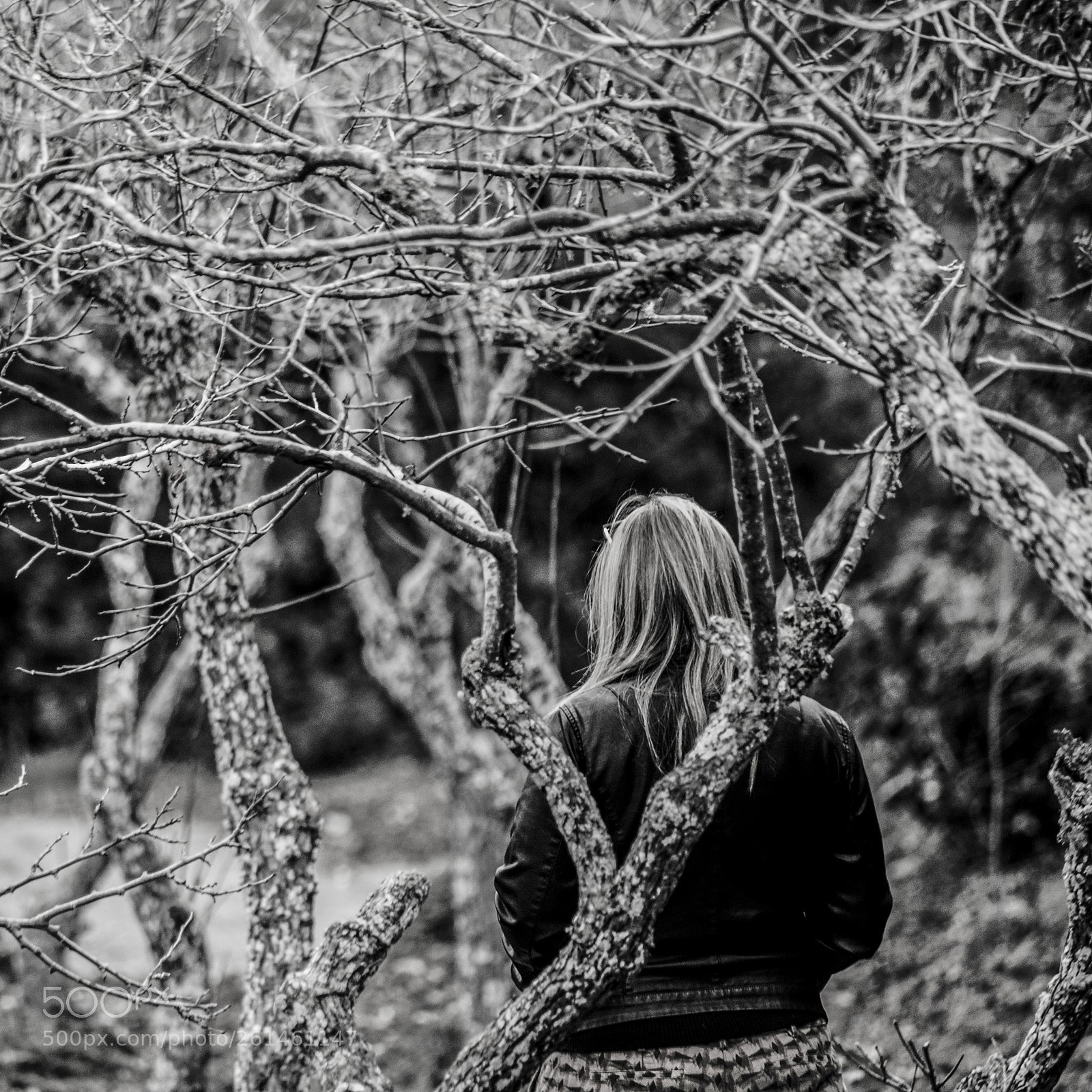 Nikon D7000 sample photo. Mona winter photography