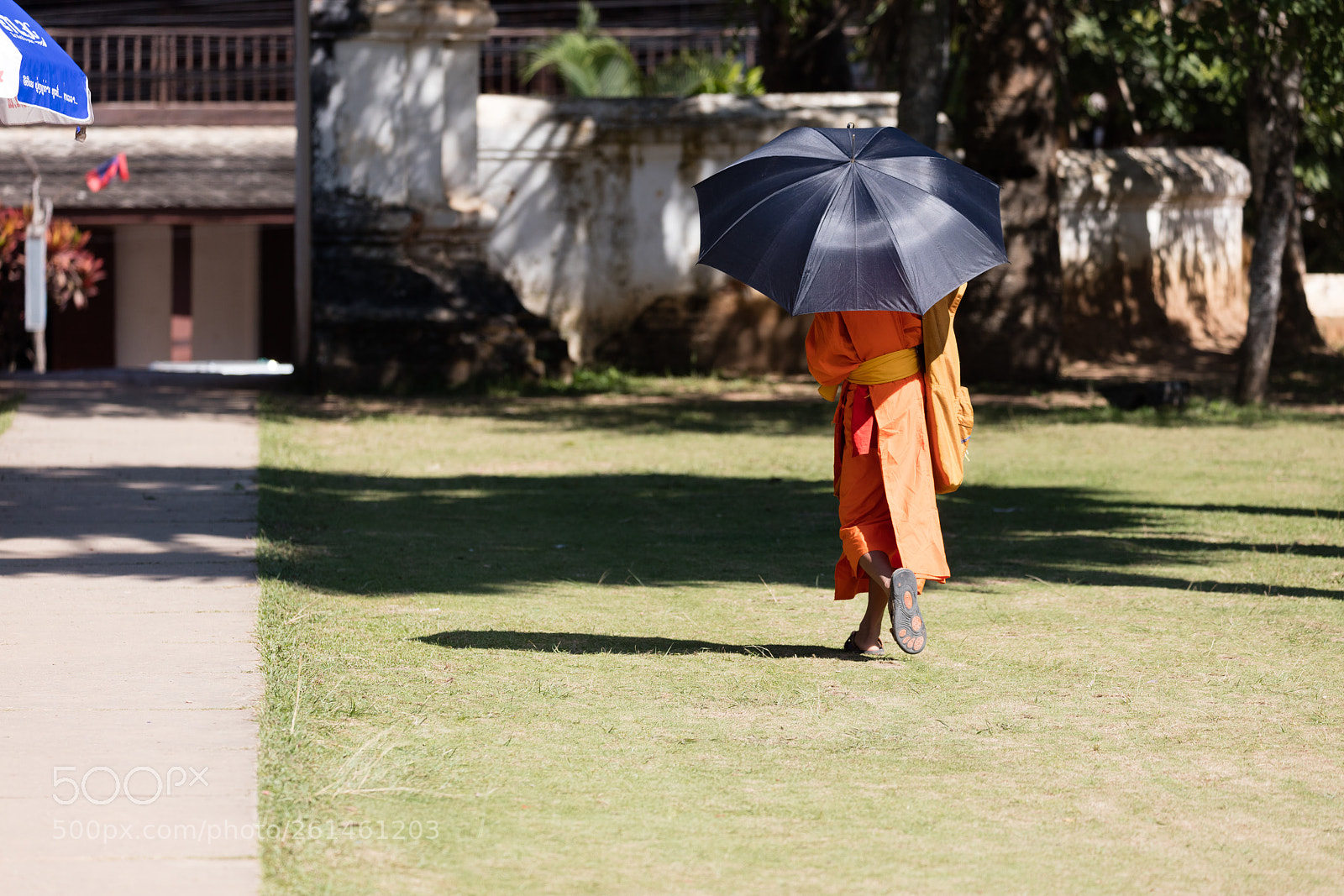 Canon EOS 5DS R sample photo. Young buddhist monk photography