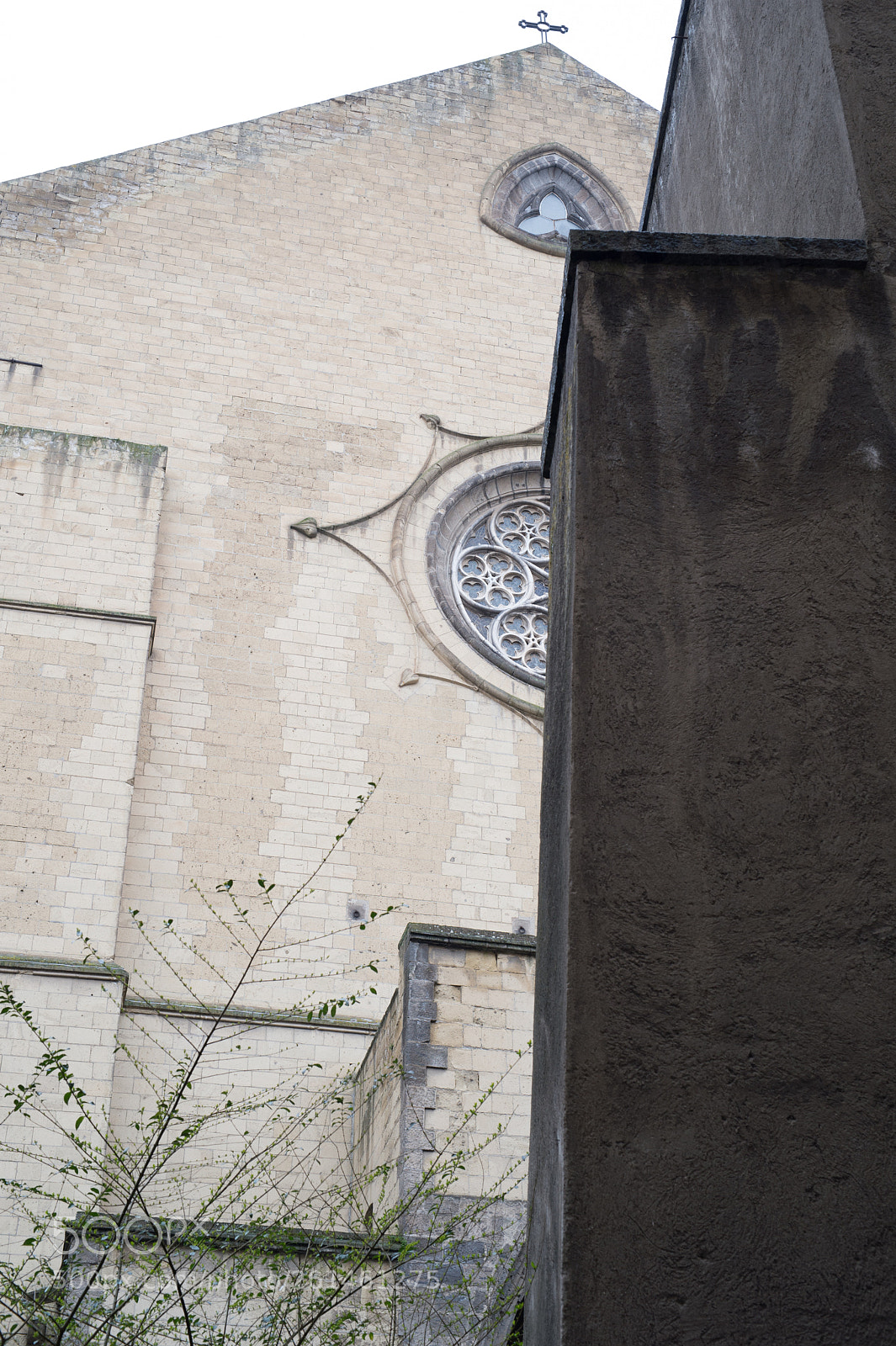 Nikon Df sample photo. St. chiara church, naples photography