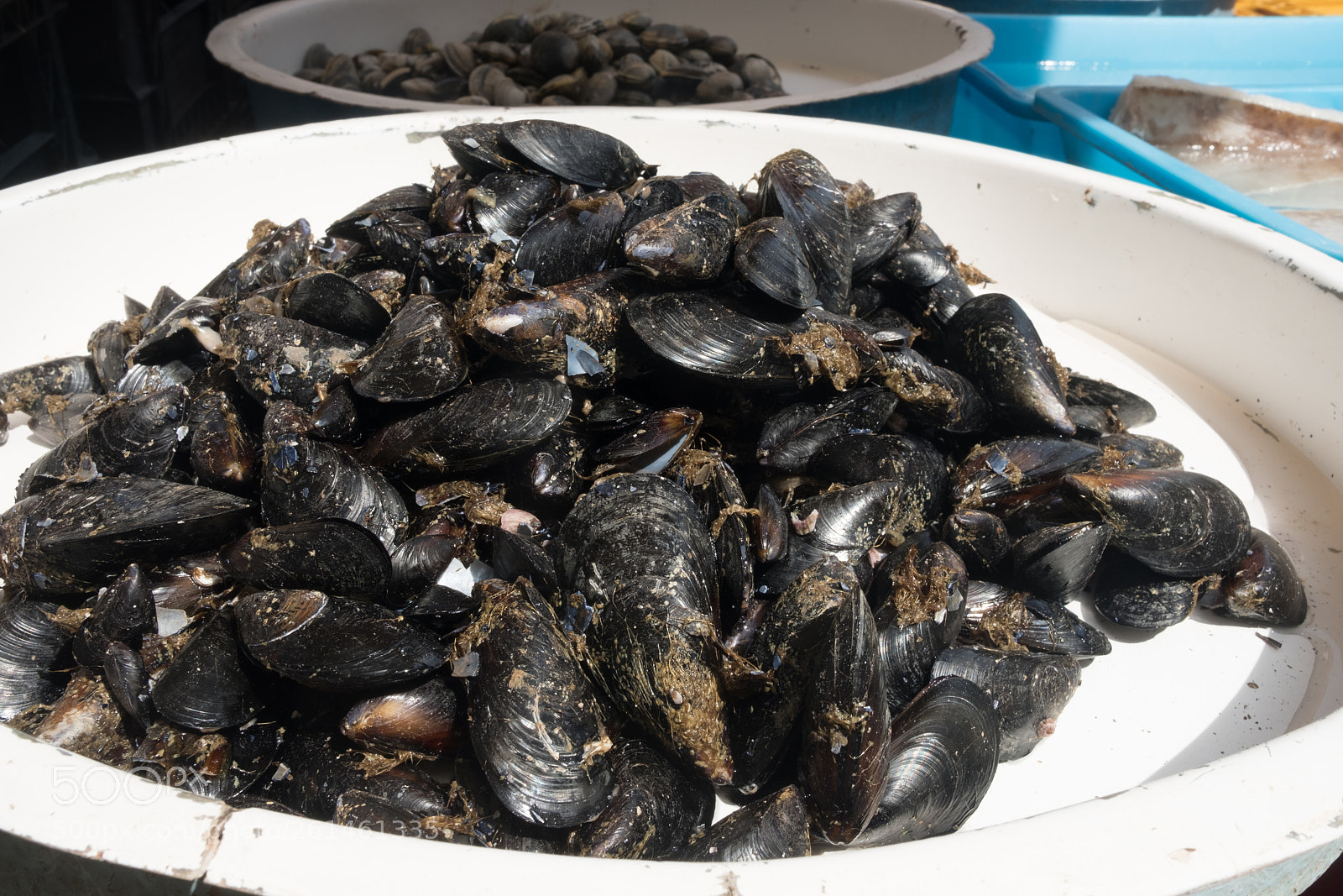 Fujifilm X-T2 sample photo. Fresh mussels at the photography