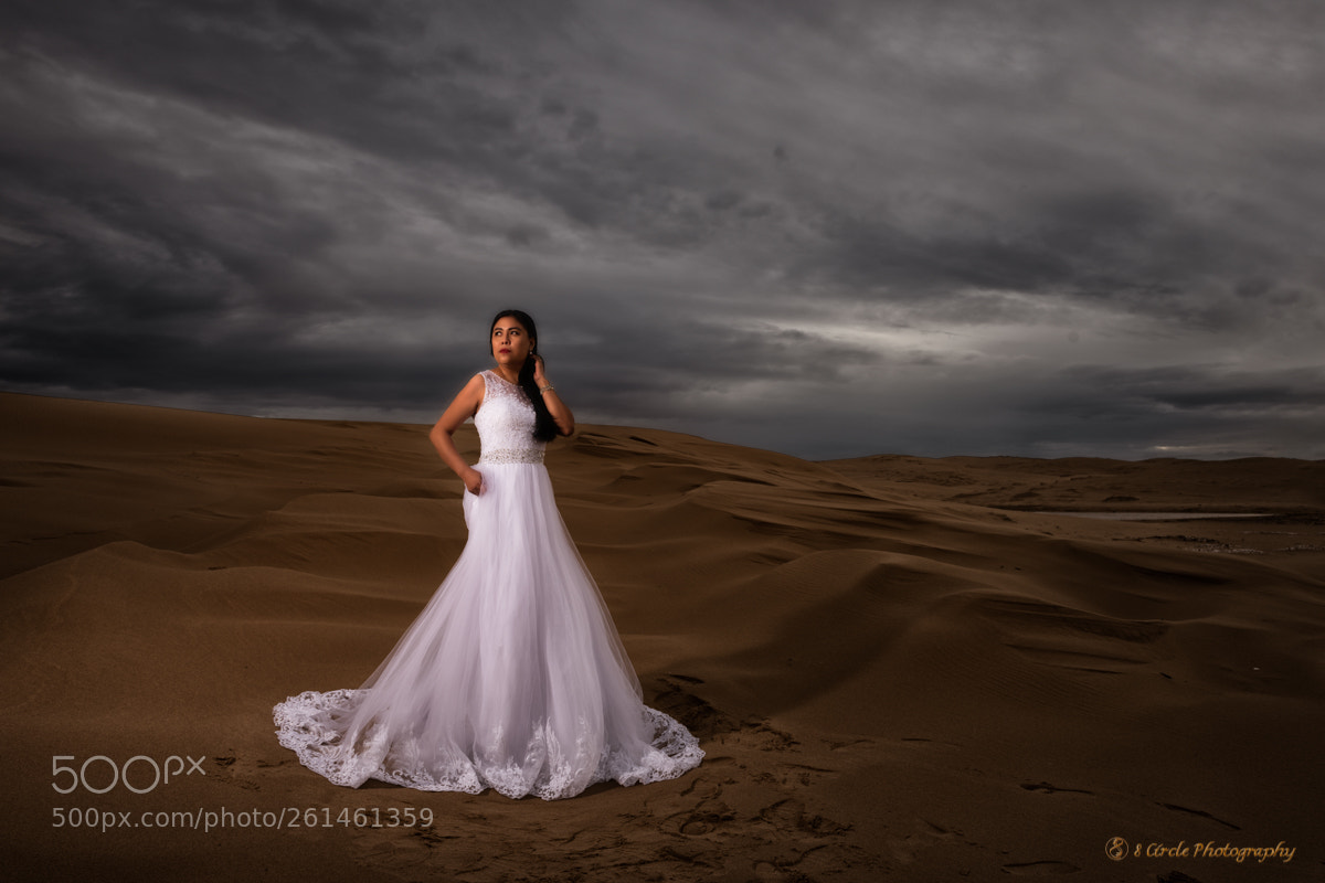 Nikon D810 sample photo. 8 circle photography photography