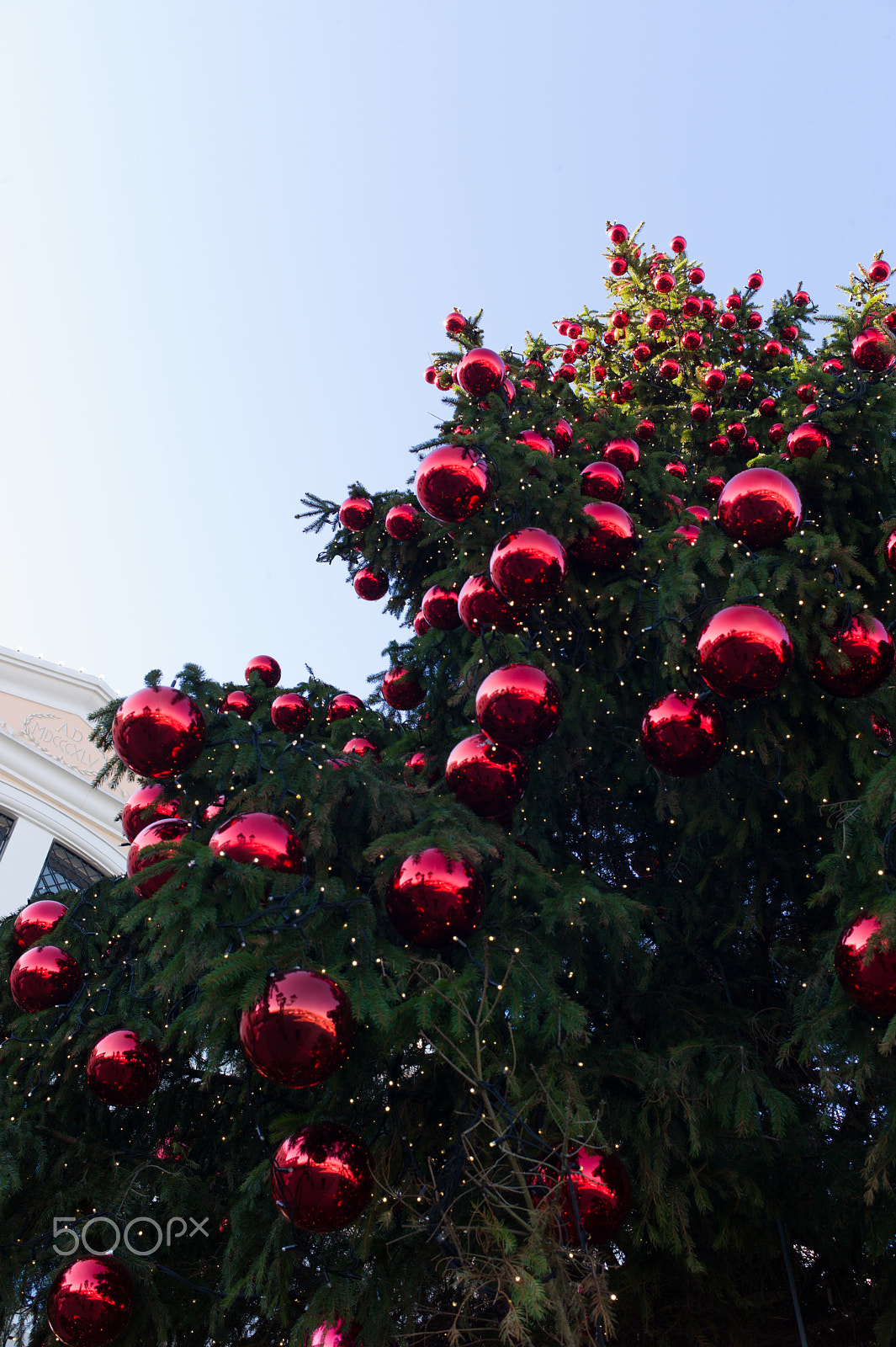 Leica M9 sample photo. Christmas balls on a tree photography