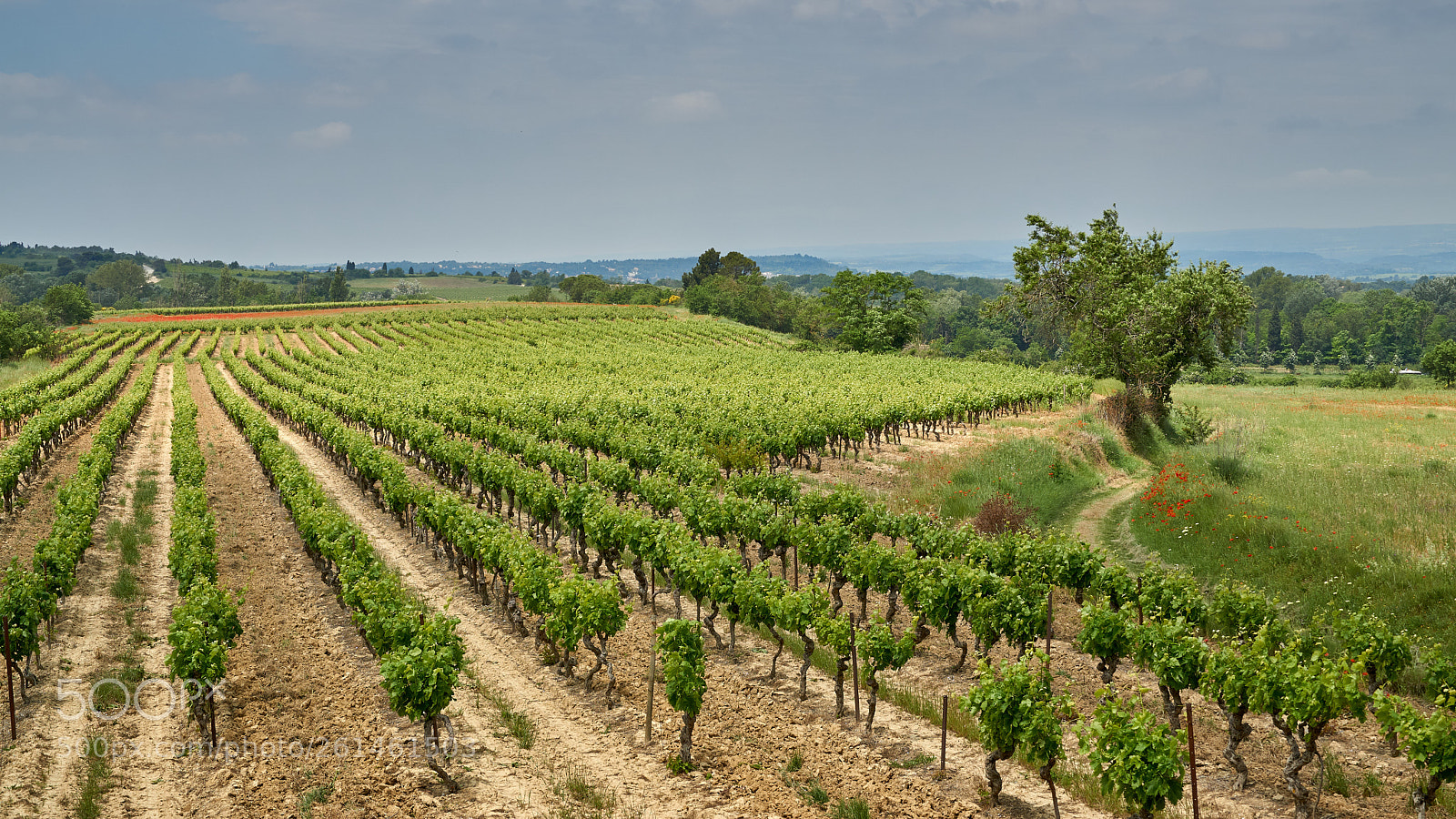 Sony a6000 sample photo. Beautiful carcassonne 01 photography