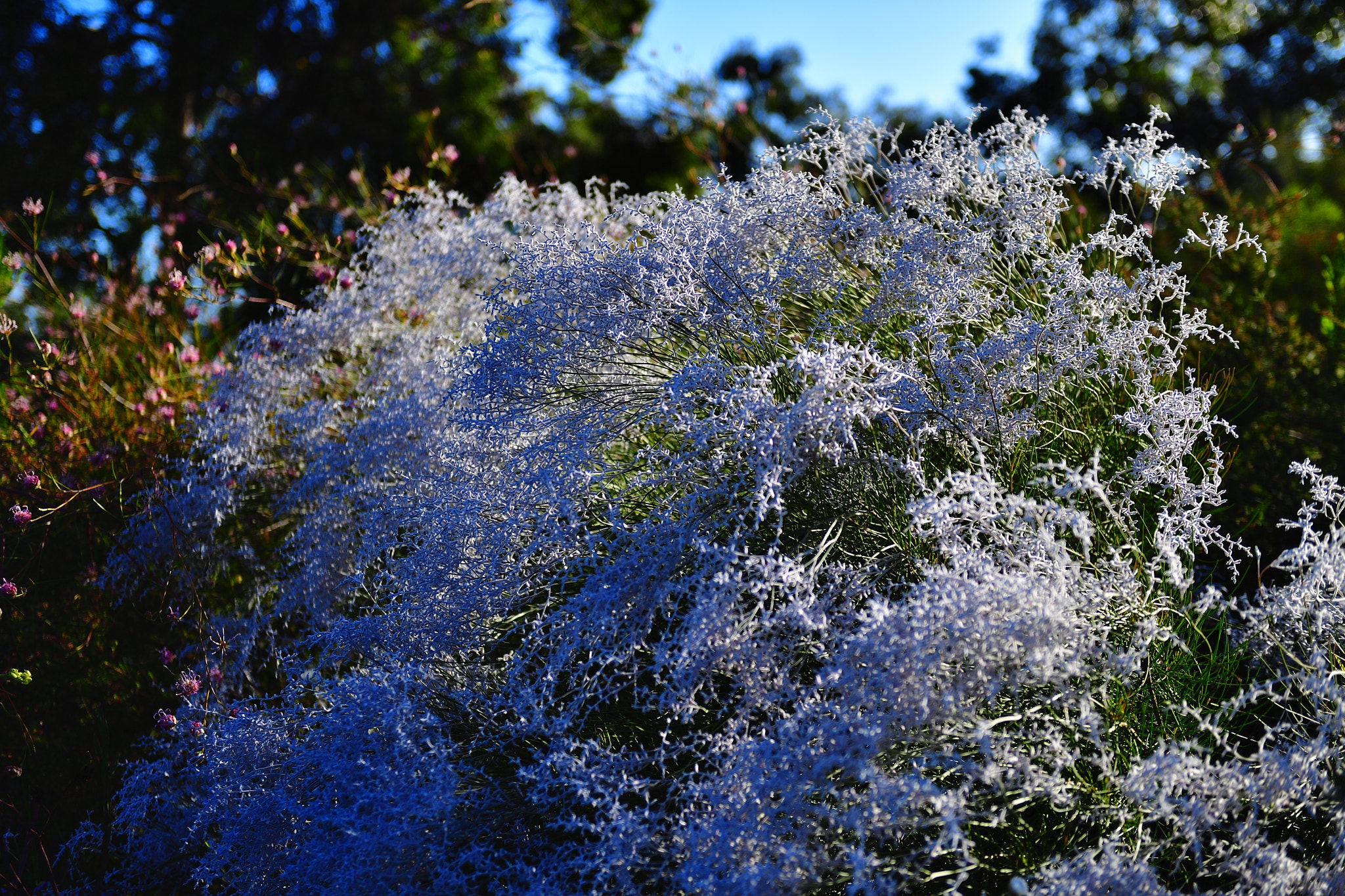 Nikon D5 sample photo. Spring photography