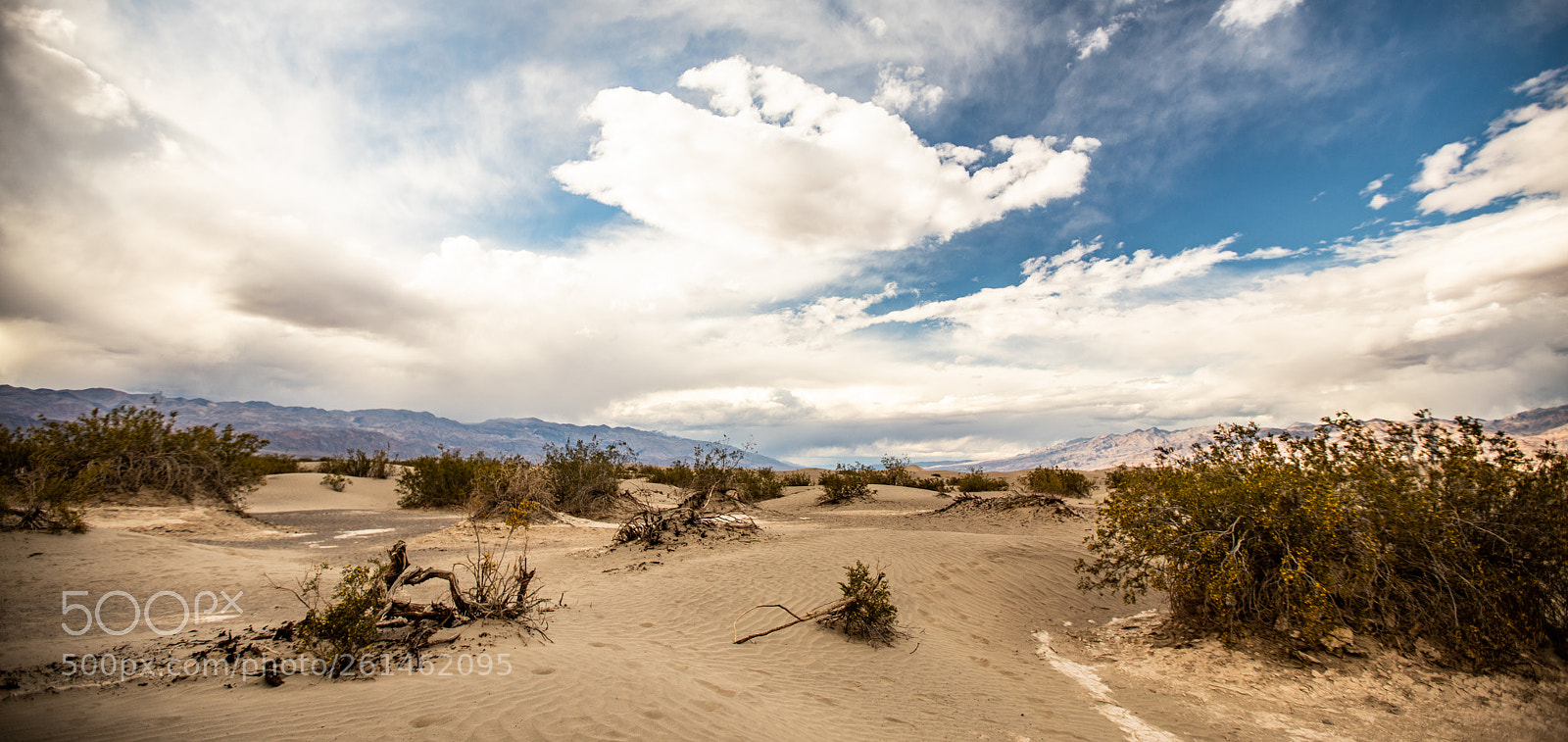 Canon EOS 5D Mark IV sample photo. Mesquite flat sand dunes photography