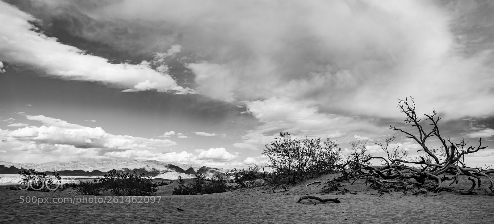 Canon EOS 5D Mark IV sample photo. Mesquite flat sand dunes photography