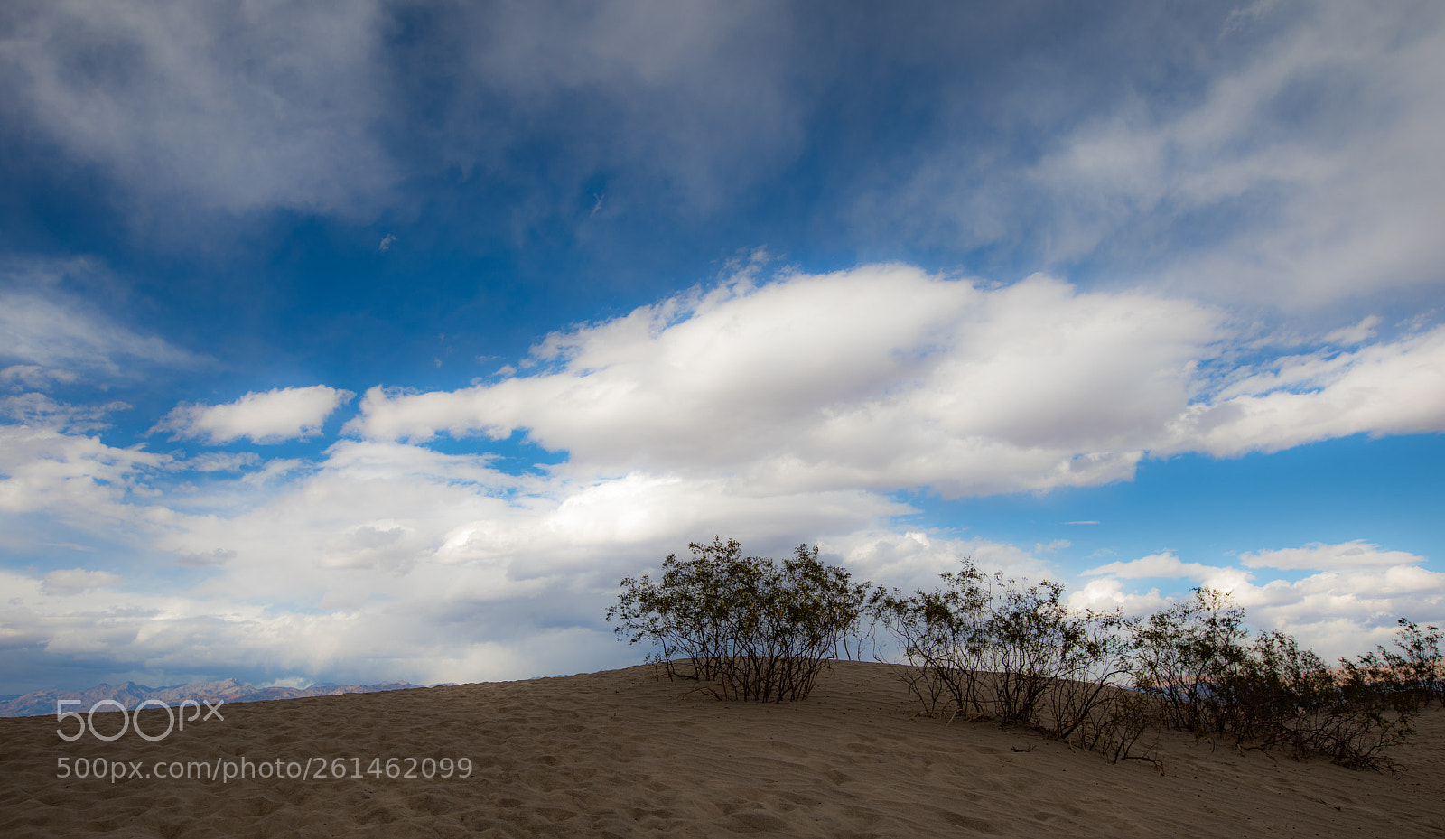 Canon EOS 5D Mark IV sample photo. Mesquite flat sand dunes photography