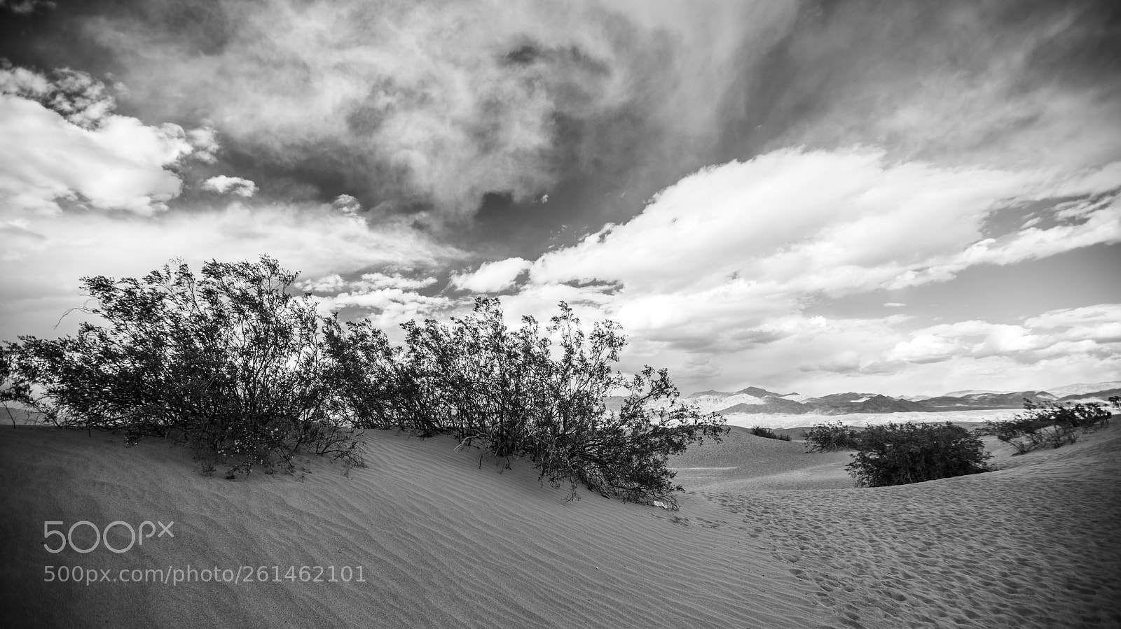 Canon EOS 5D Mark IV sample photo. Mesquite flat sand dunes photography