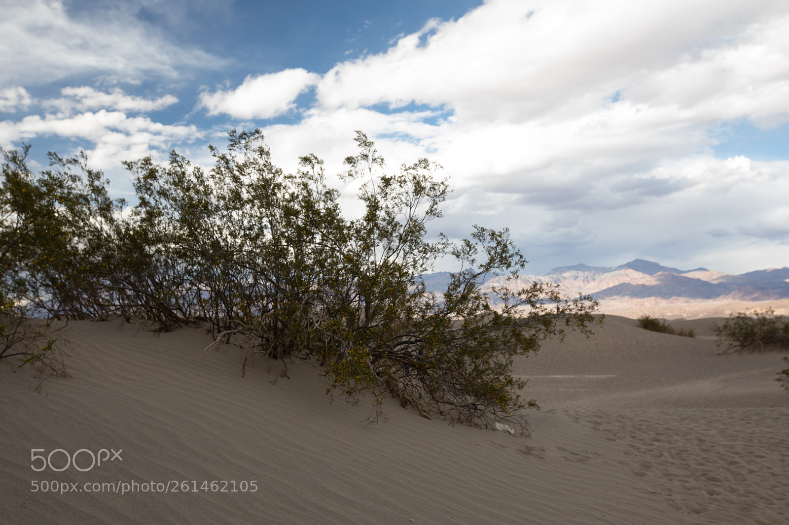Canon EOS 5D Mark IV sample photo. Mesquite flat sand dunes photography