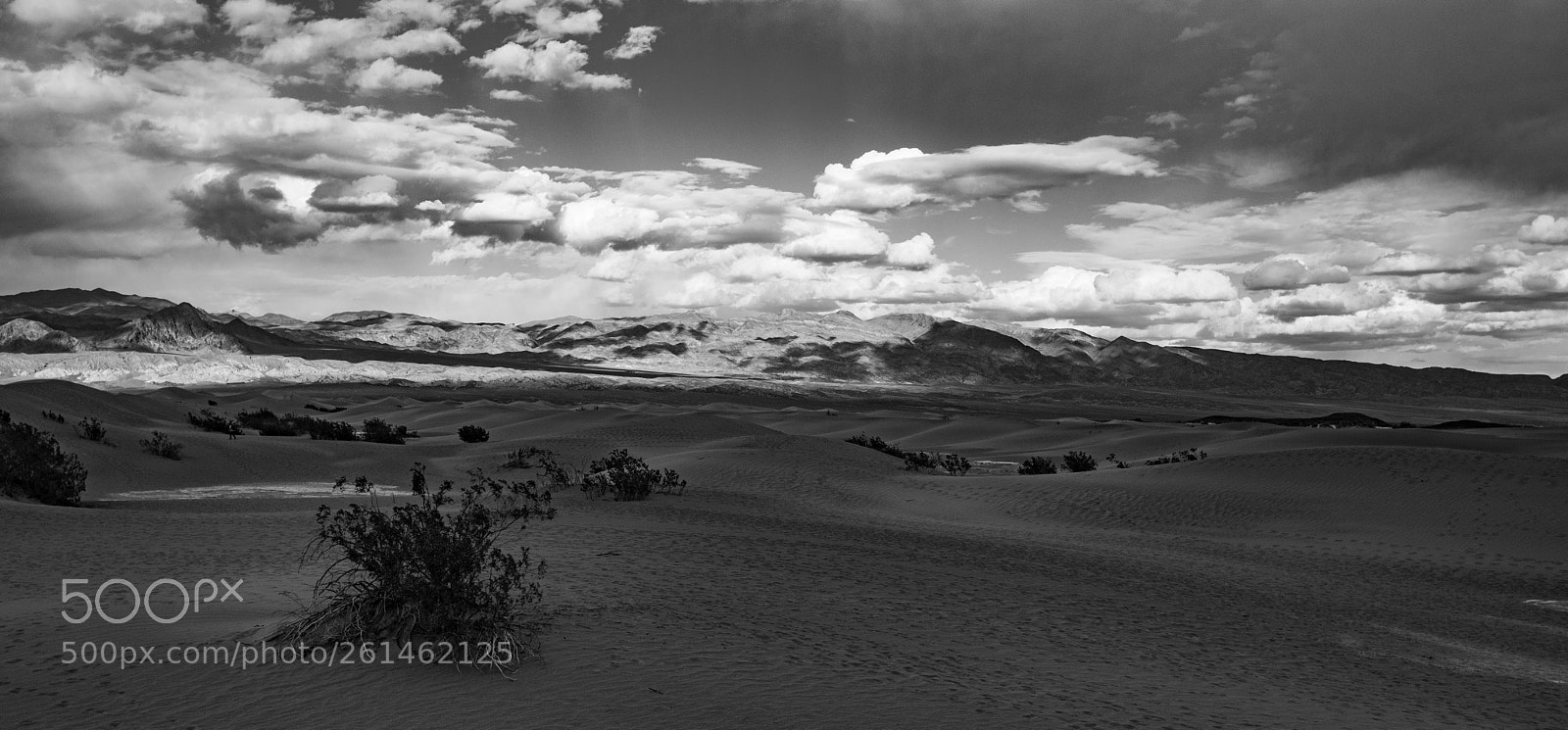 Canon EOS 5D Mark IV sample photo. Mesquite flat sand dunes photography
